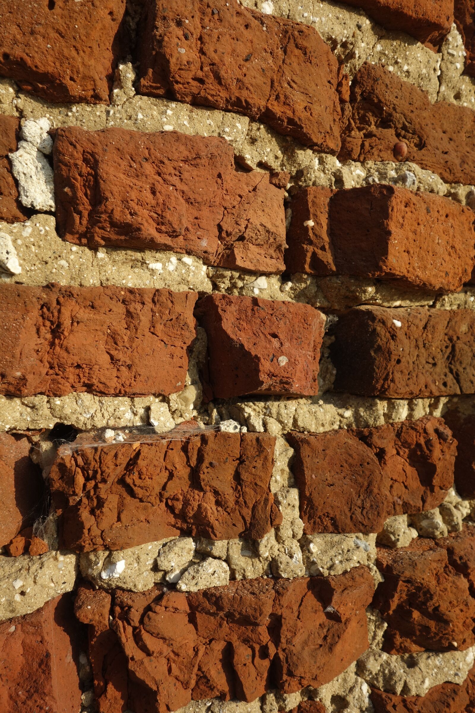 Sony Cyber-shot DSC-RX100 sample photo. Texture, wall, brick photography