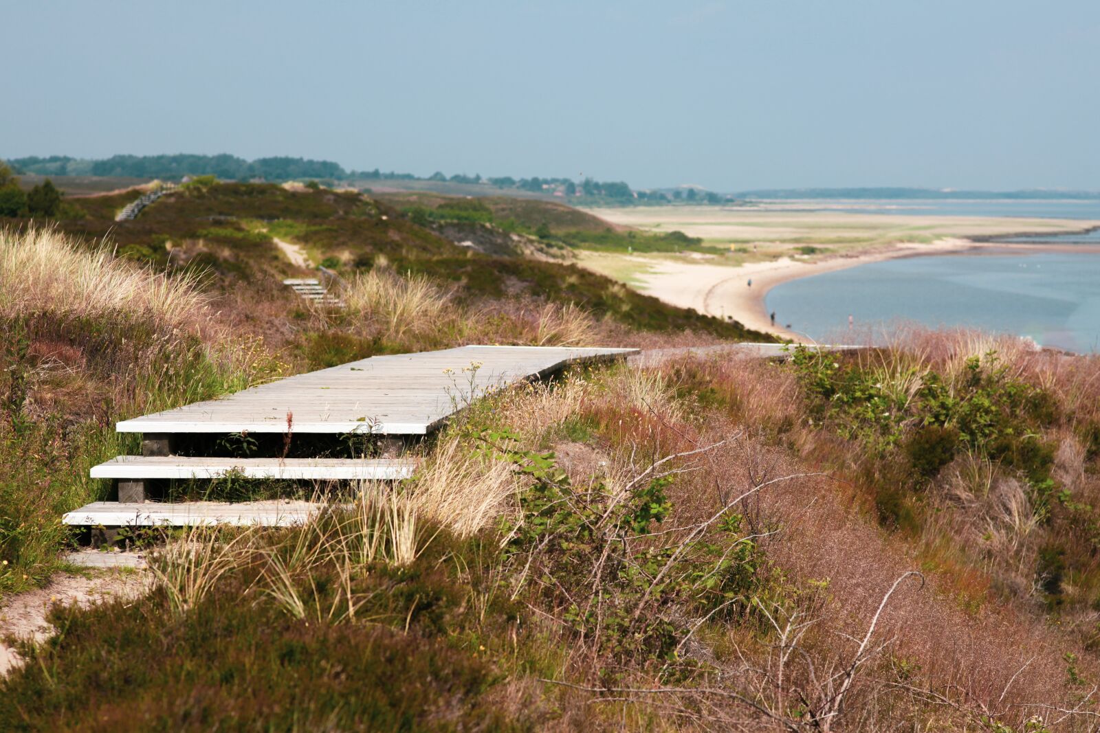 Canon EOS 5D Mark II sample photo. Sylt, braderup heath, boardwalks photography