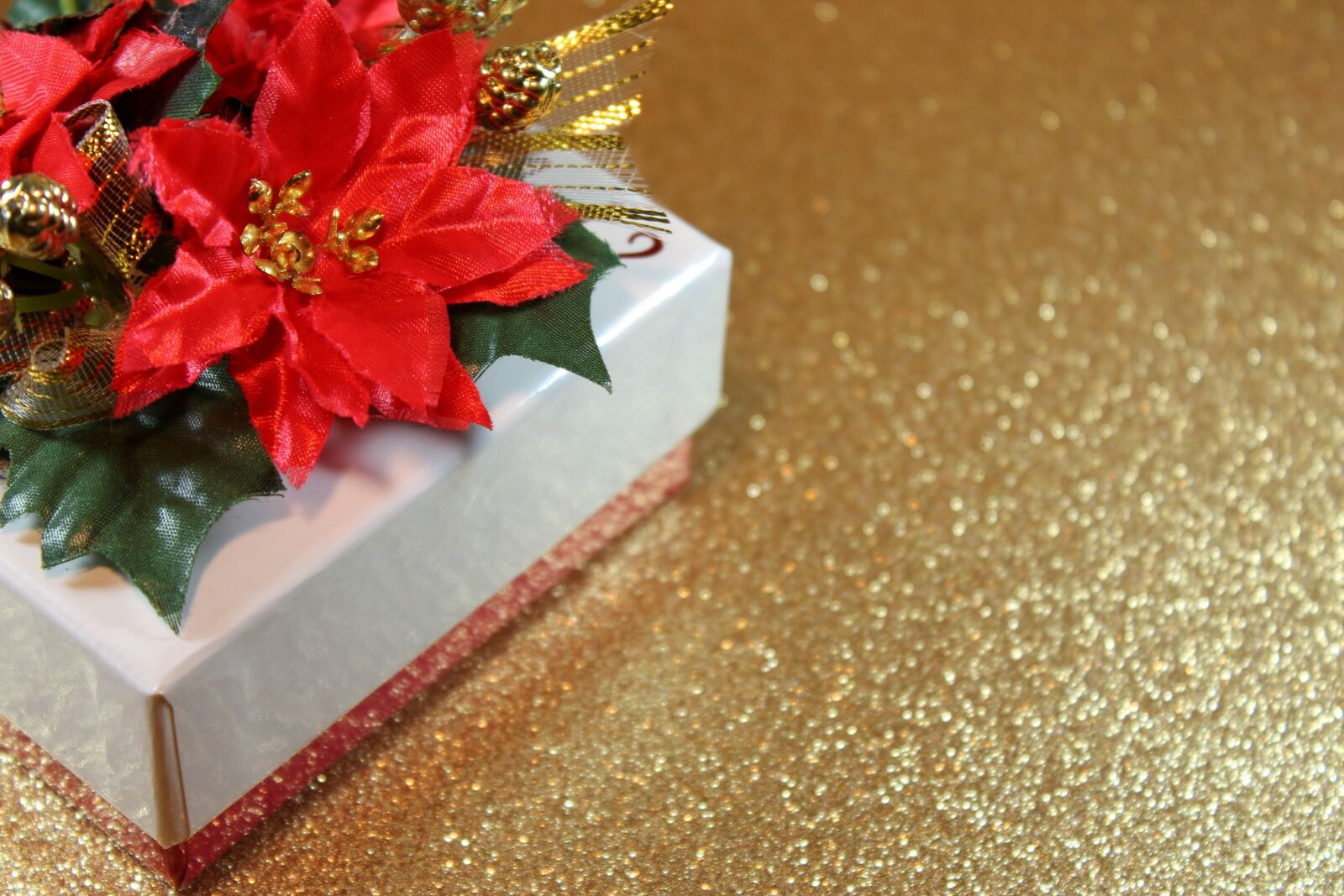 Canon EOS 1100D (EOS Rebel T3 / EOS Kiss X50) sample photo. Gift, christmas, golden photography
