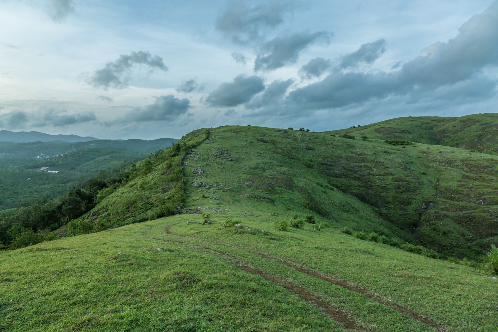 Canon EF 24-105mm F4L IS USM sample photo. Meadows, landscape, greenery photography