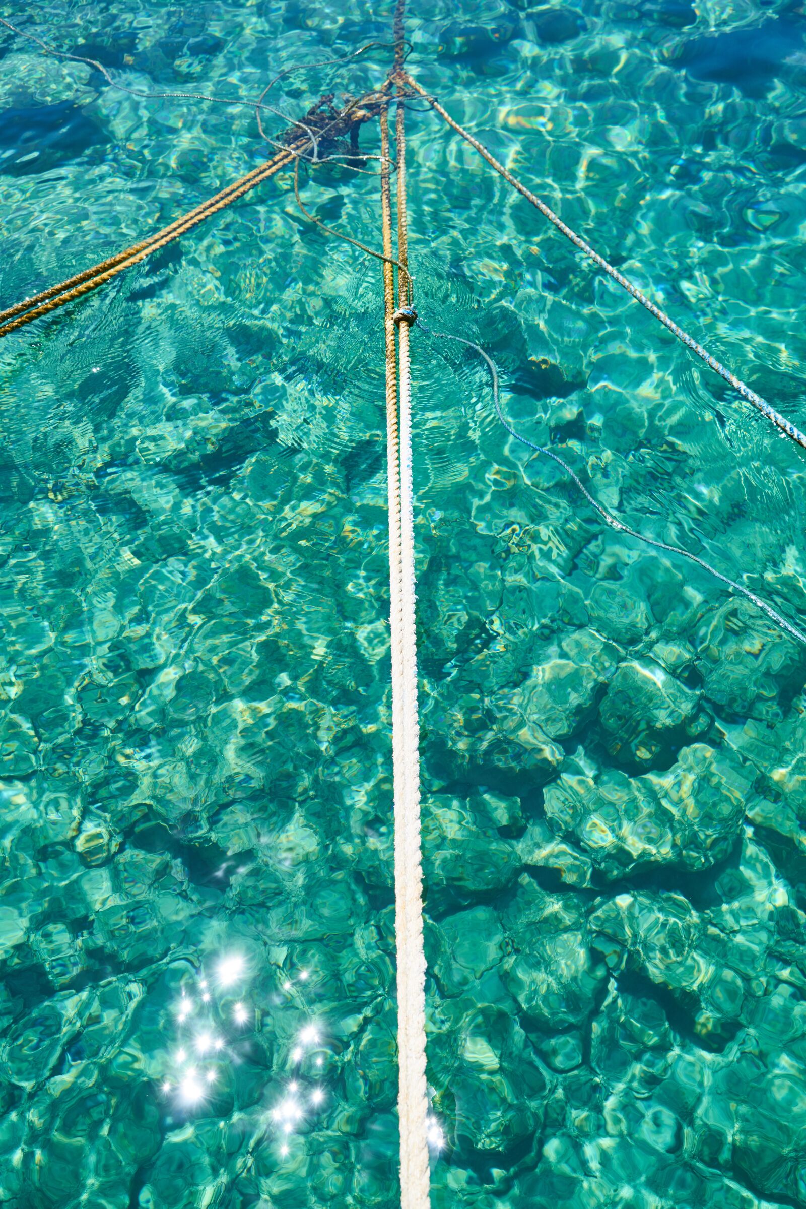 Sony a7R II sample photo. Blue, green, marine photography