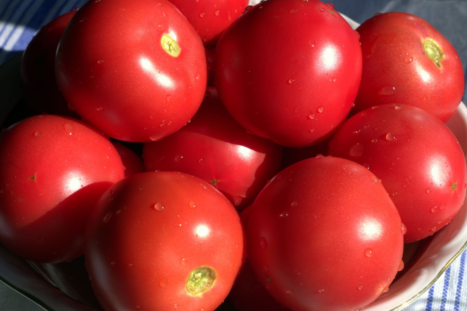 Pentax K-S2 sample photo. Tomatoes, red, mature photography