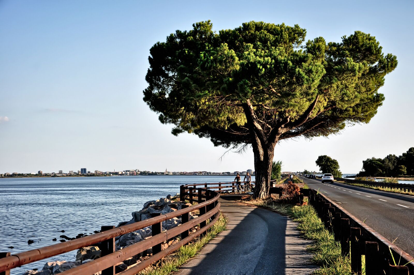 Nikon D90 sample photo. Tree, sea, cycle path photography