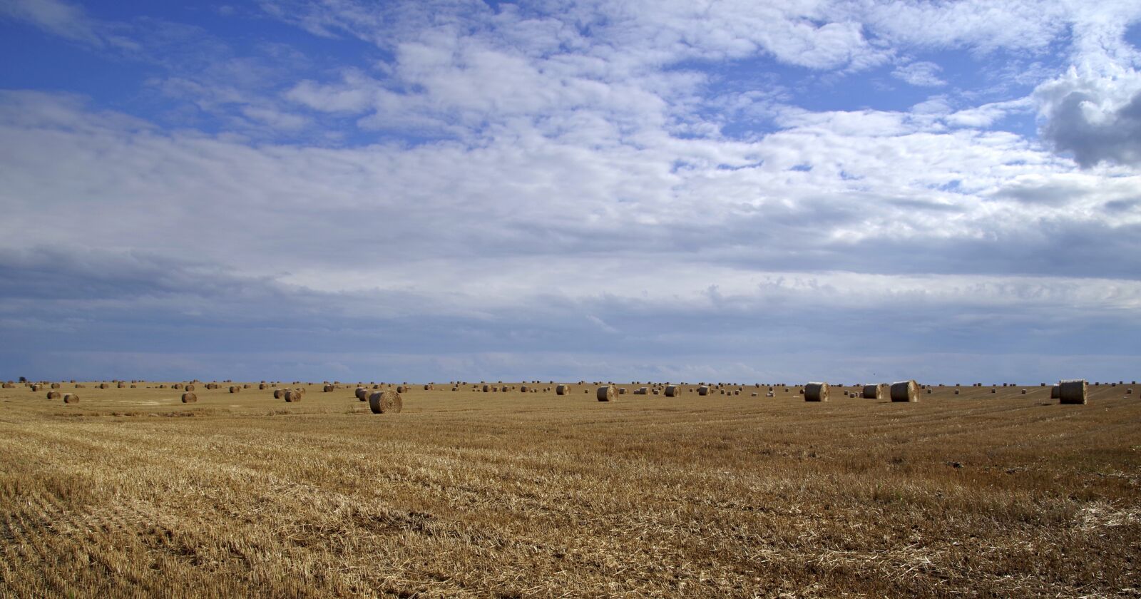 Pentax K-S2 sample photo. Harvest, harvest festival, stubble photography