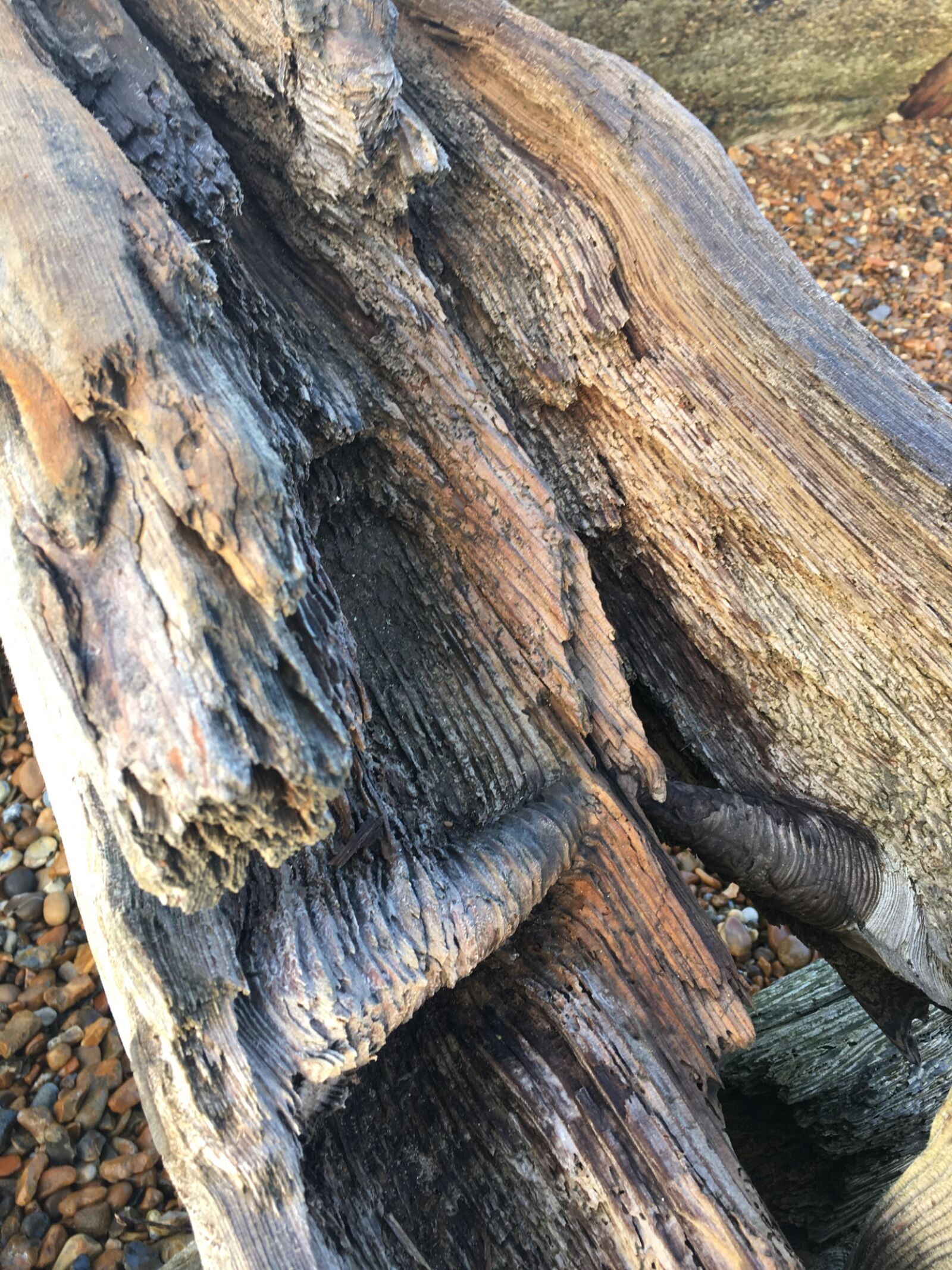 Apple iPhone 6s sample photo