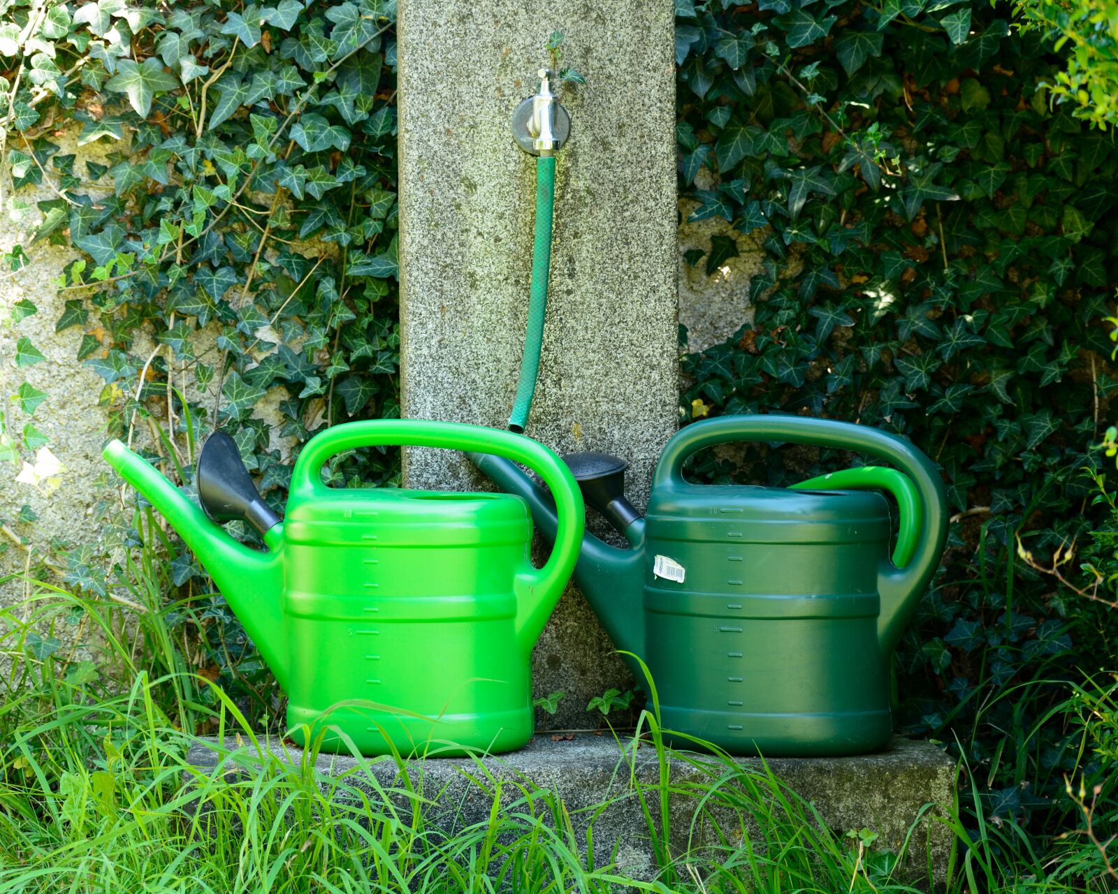 Nikon D7100 sample photo. Watering hole, watering can photography