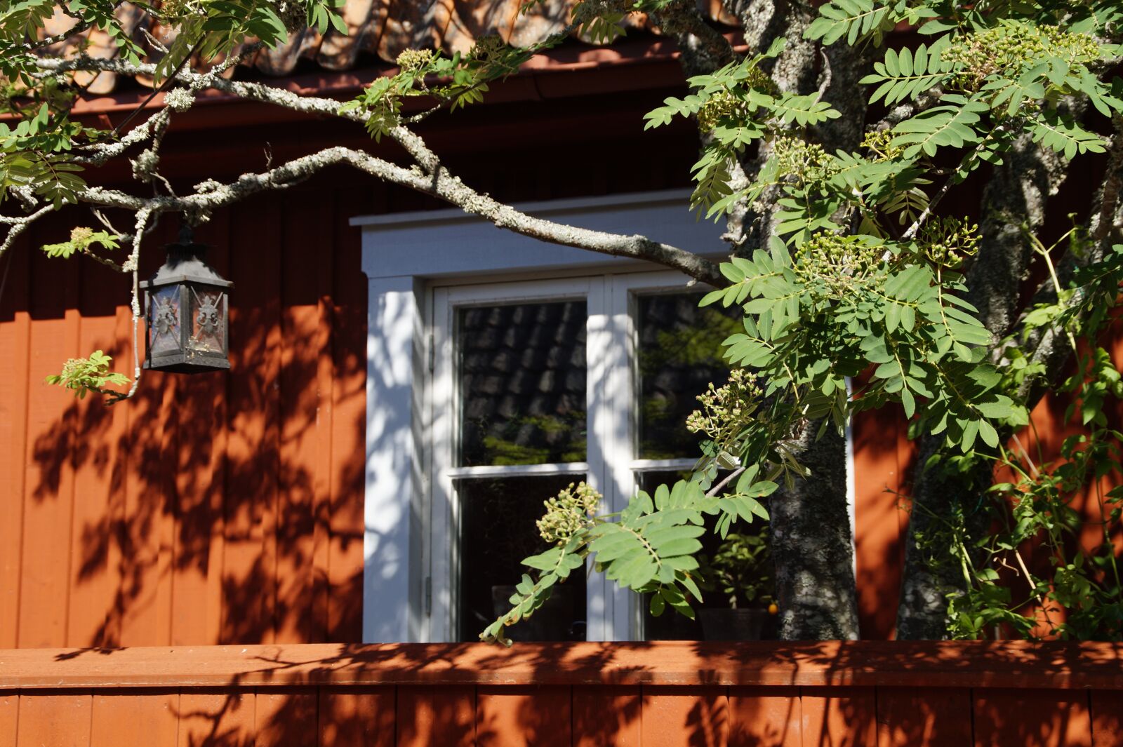 Sony SLT-A58 sample photo. House facade, window, picturesque photography
