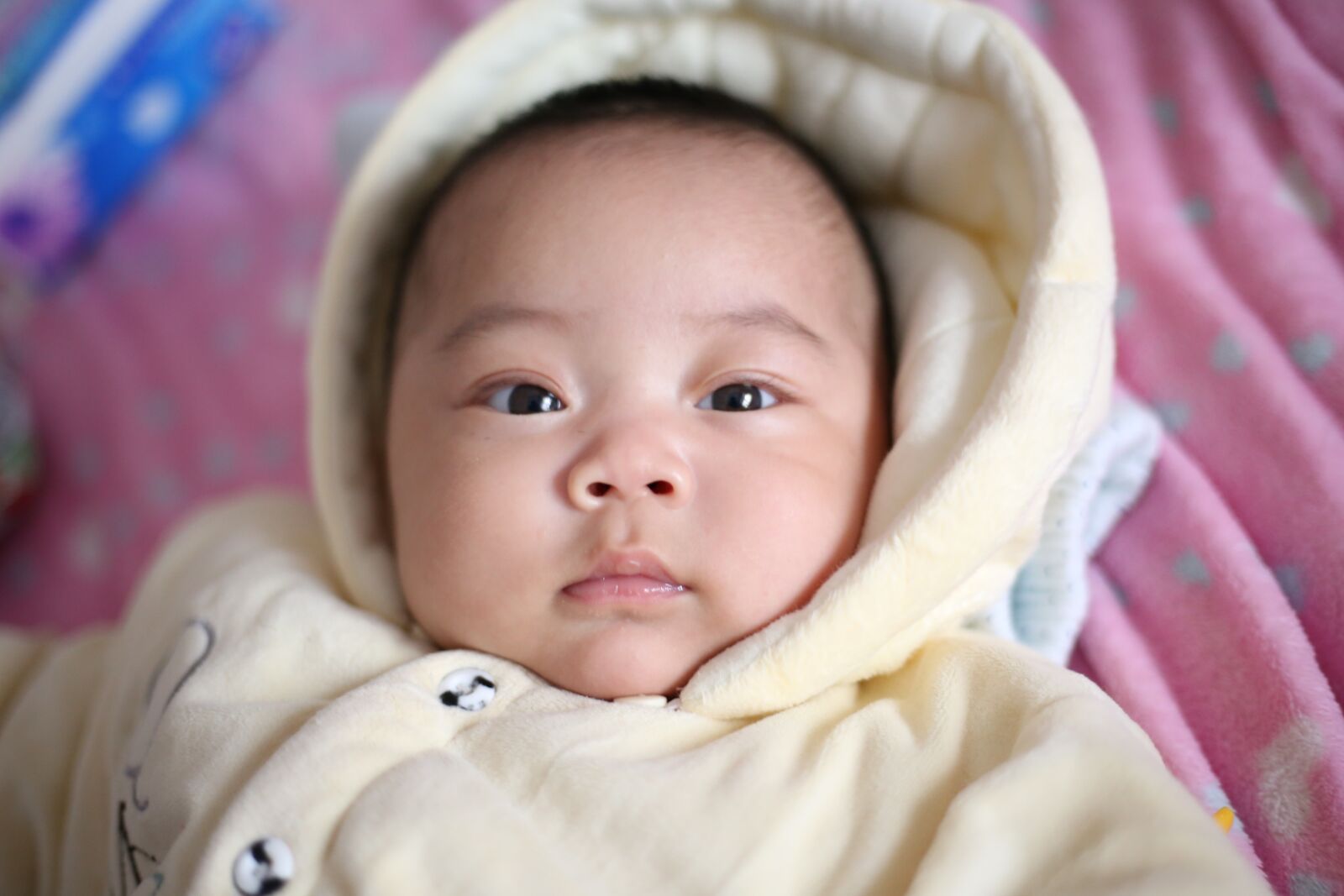 Canon EOS 6D + Canon EF 50mm F1.8 STM sample photo. Child, kids, boy photography