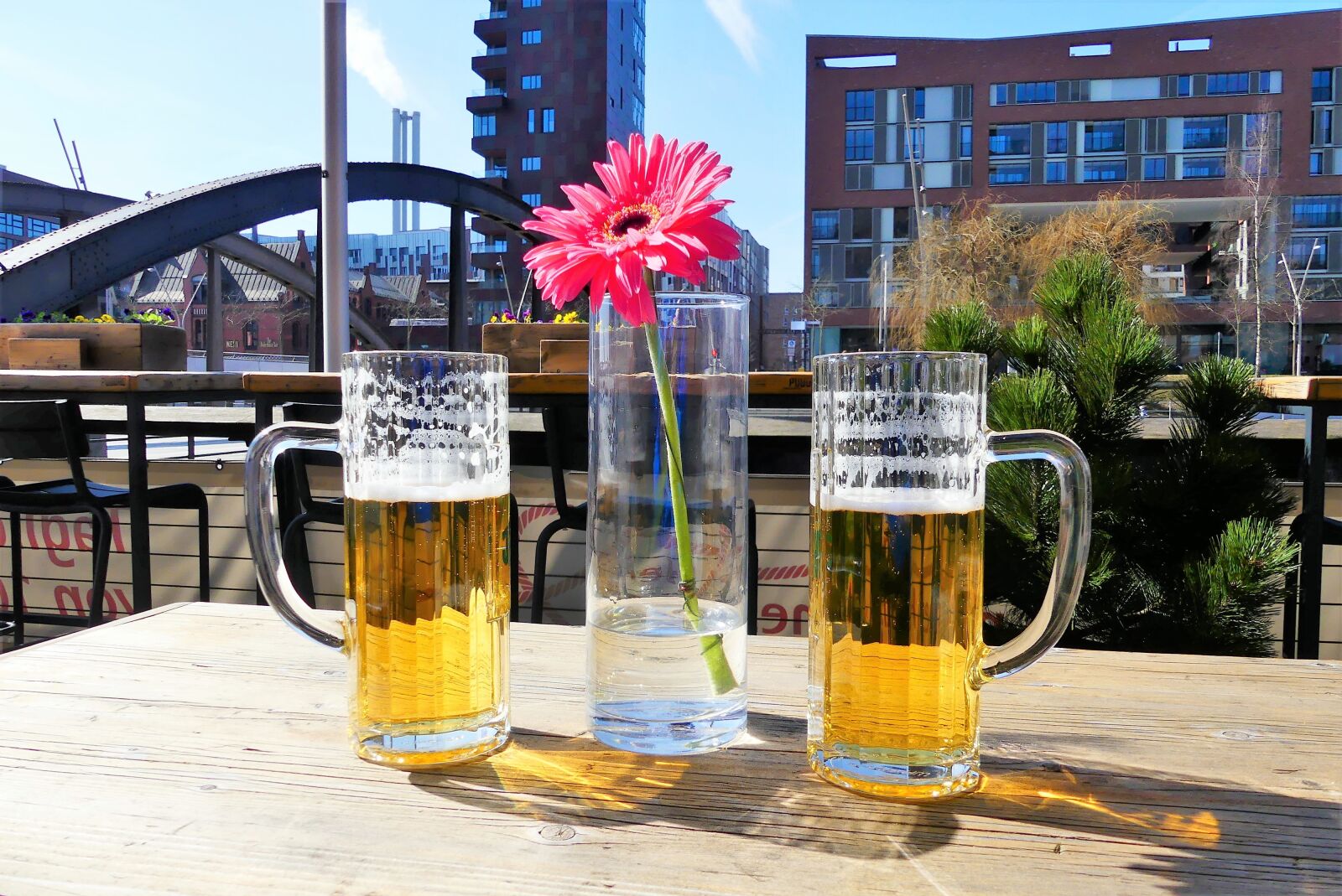 Panasonic Lumix DMC-FZ300 sample photo. Glass, beer, beer glass photography