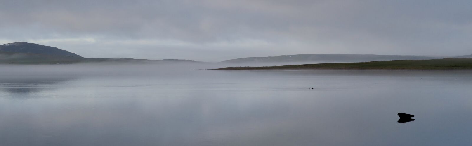 Canon PowerShot G7 X sample photo. Seal, water, mist photography