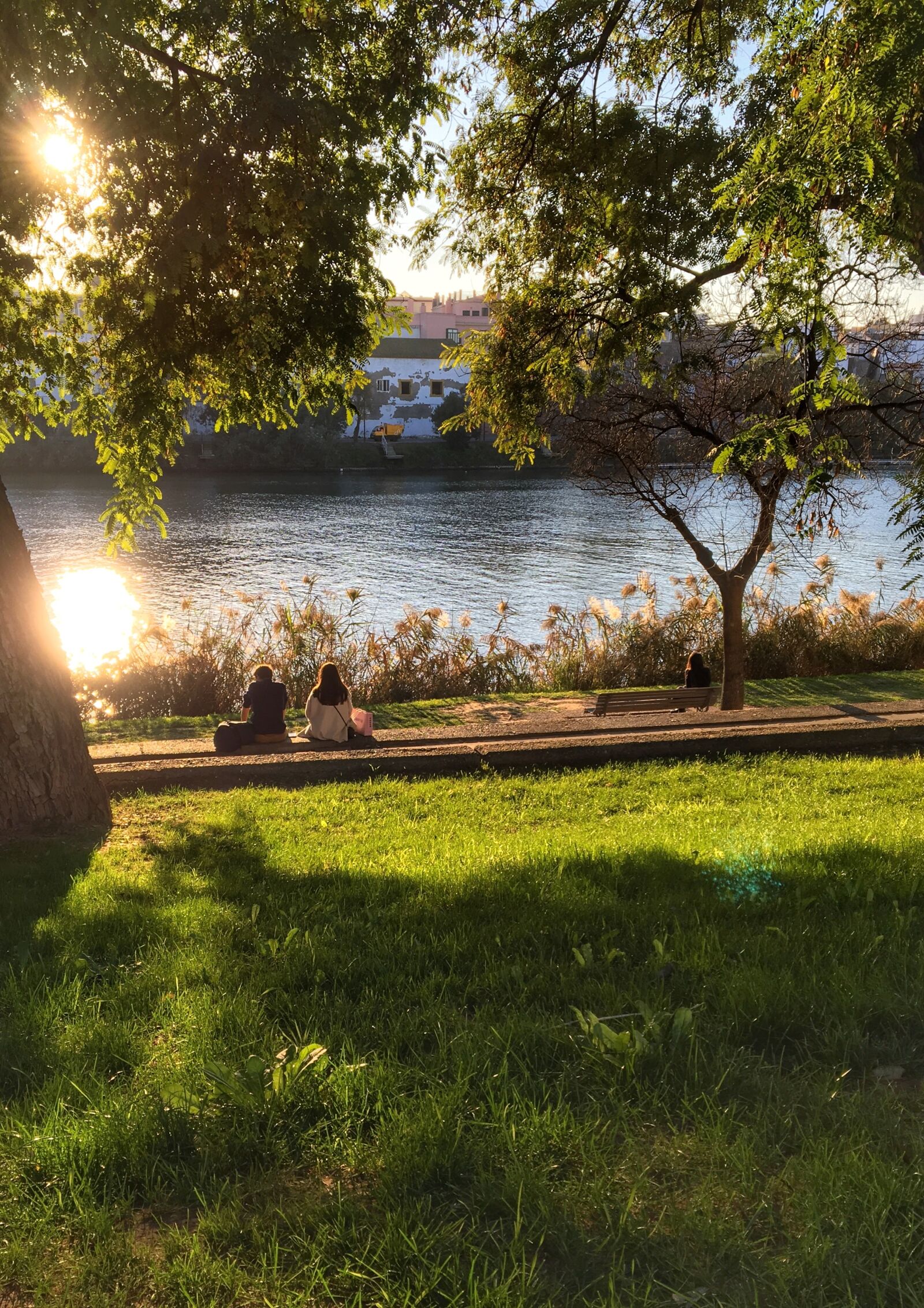 Apple iPhone 6s sample photo. Spanish winter, guadalquivir, park photography