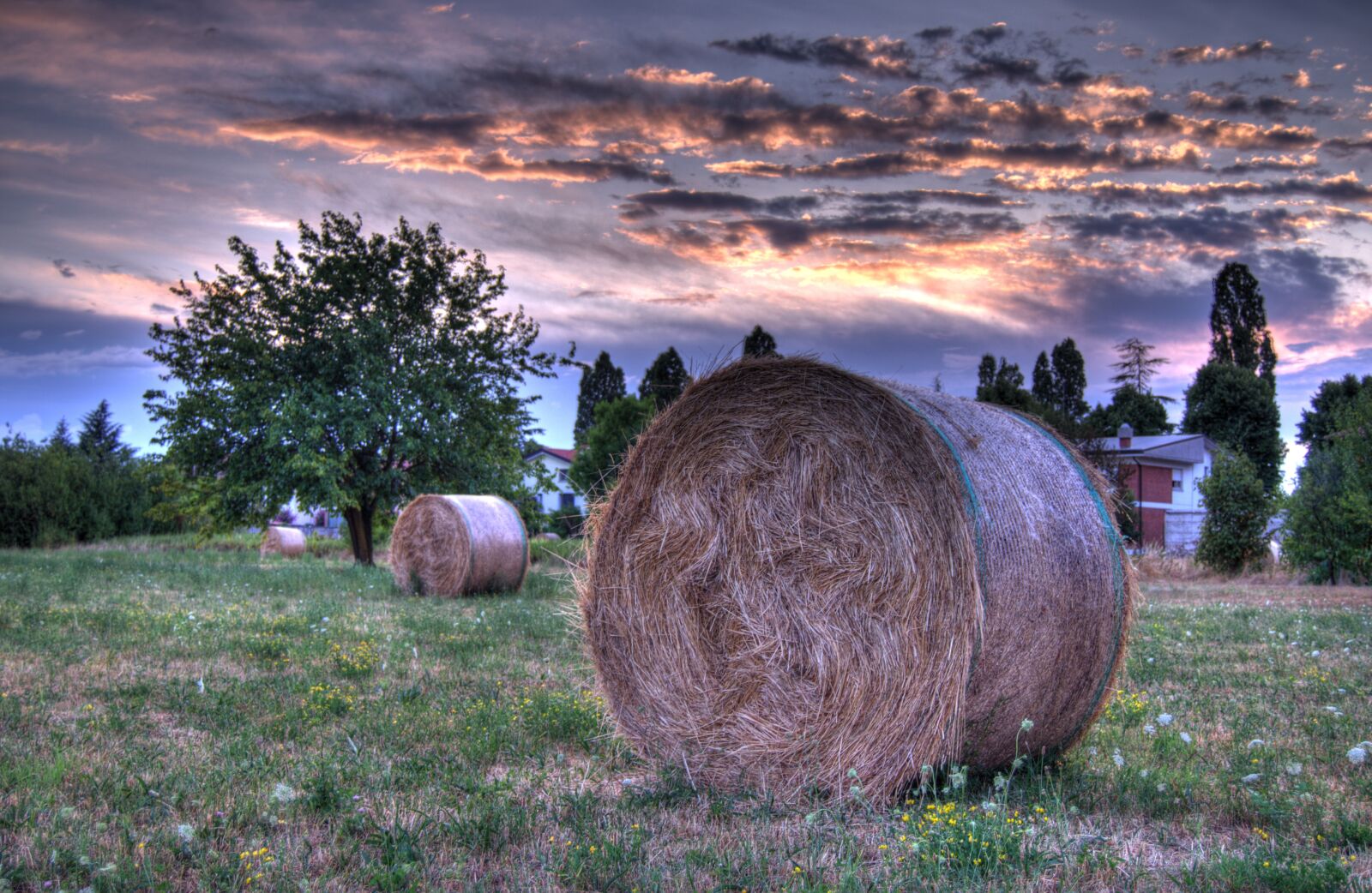 Nikon D5100 sample photo. Bale, trees, sky photography