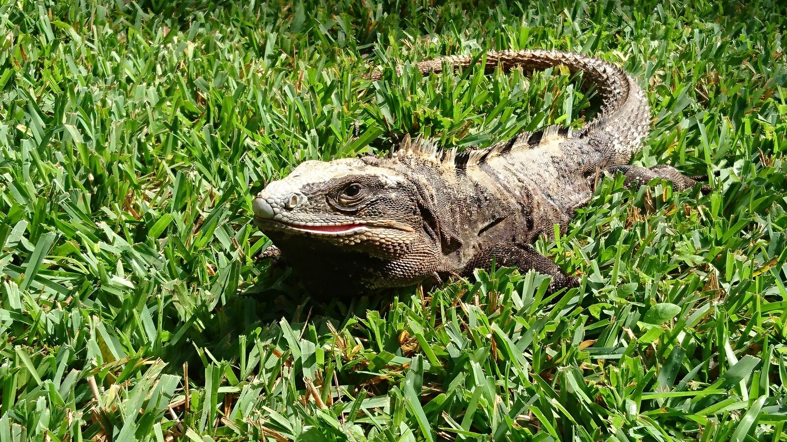 Sony Xperia Z5 sample photo. Mexico, vacations, cancun photography