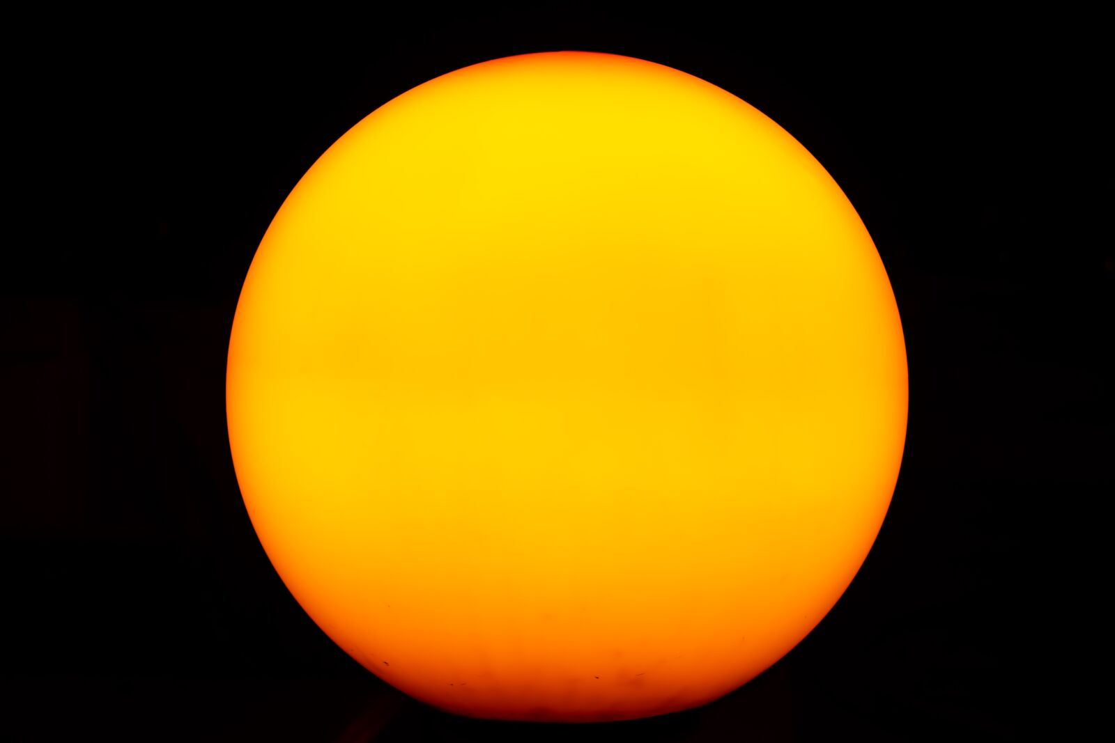 Nikon D5600 sample photo. Circle, orange, lamp photography