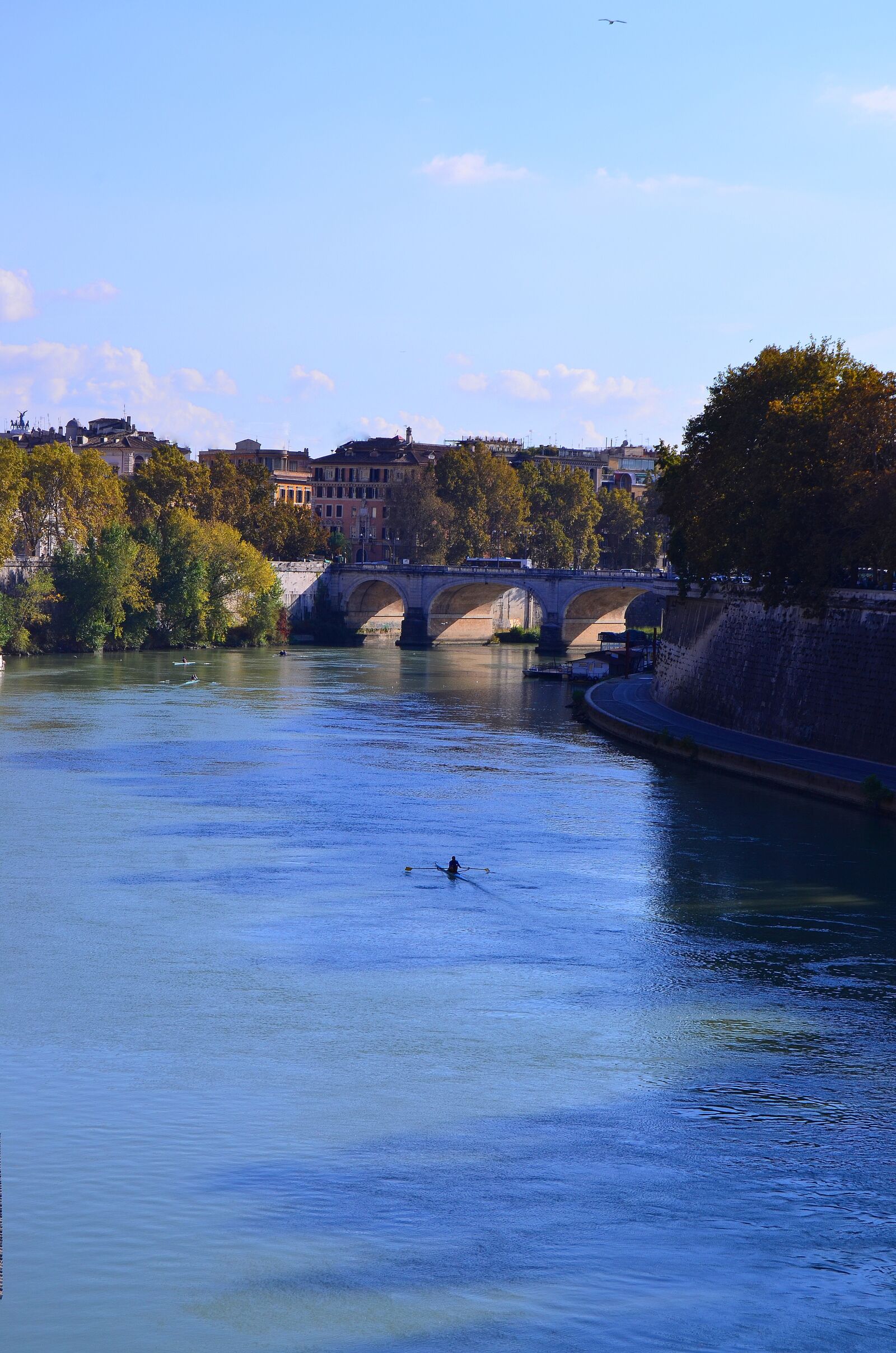 Nikon D7000 sample photo. Rome, tiber, bridge photography