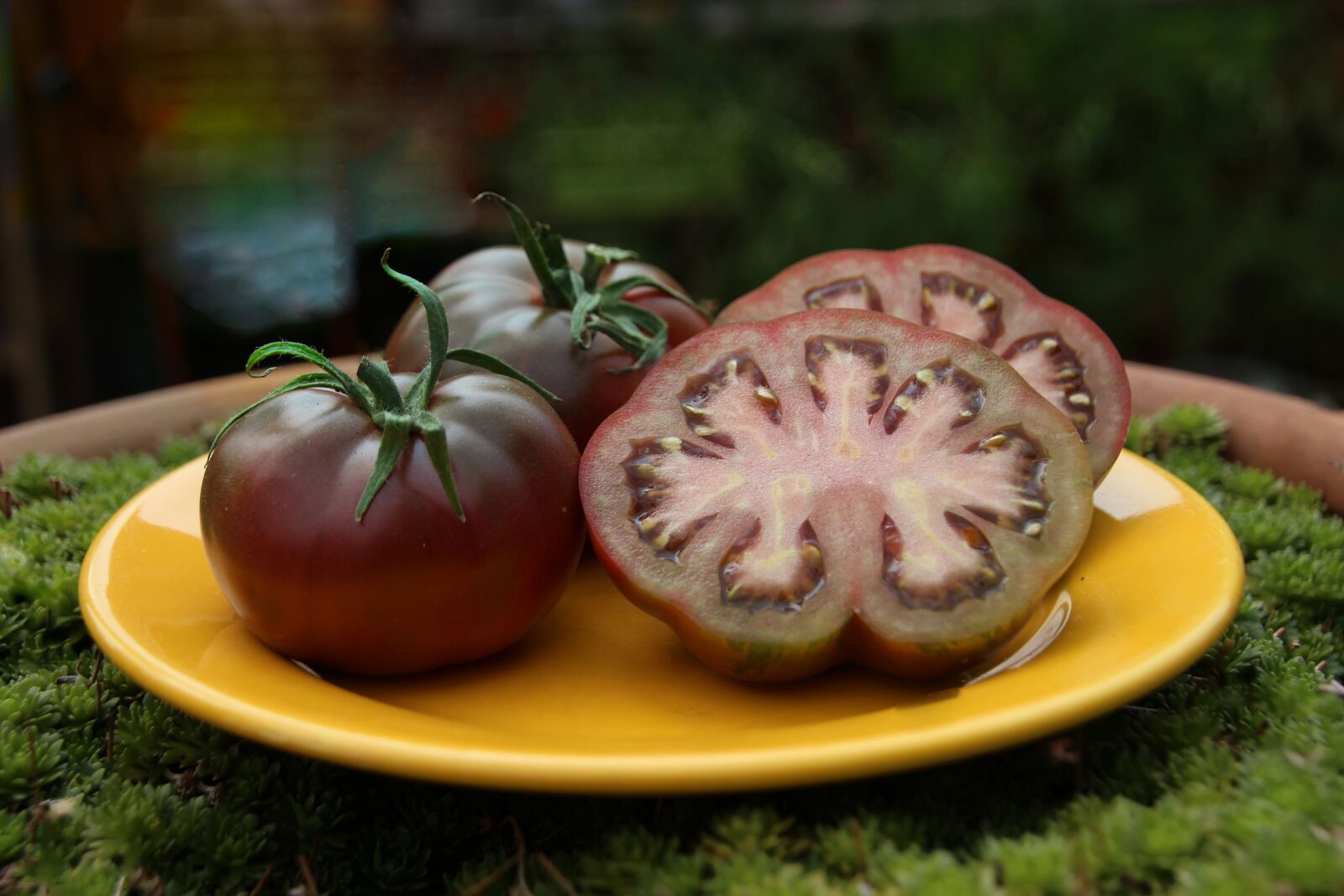 Canon EOS 600D (Rebel EOS T3i / EOS Kiss X5) sample photo. Tomato, fruits, vegetables photography