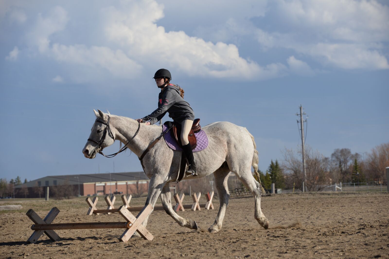 Nikon D610 sample photo. Stables, horse, farm photography
