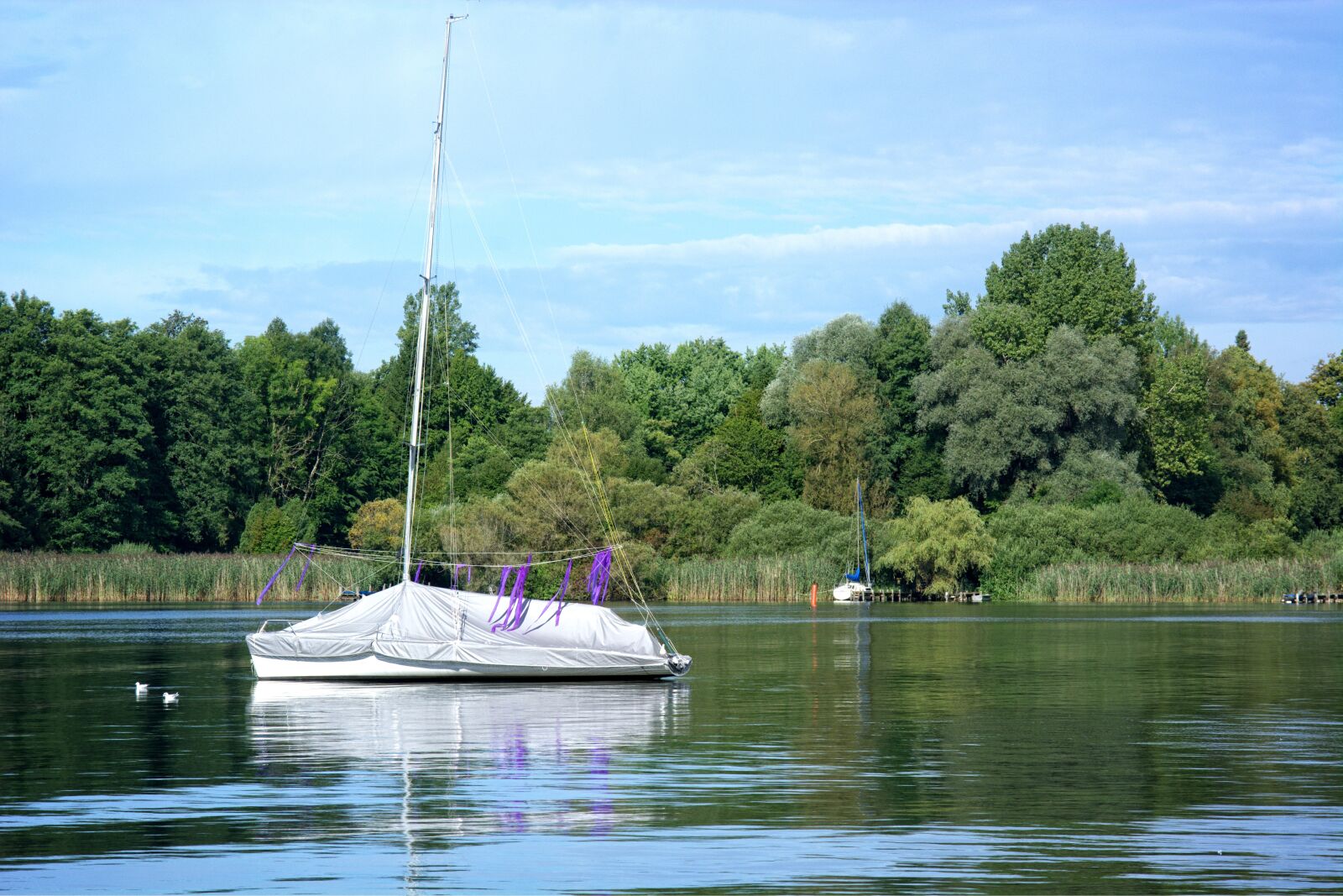 55.0-200.0mm f/4.0-f/5.6 sample photo. Nature, lake, chiemsee photography