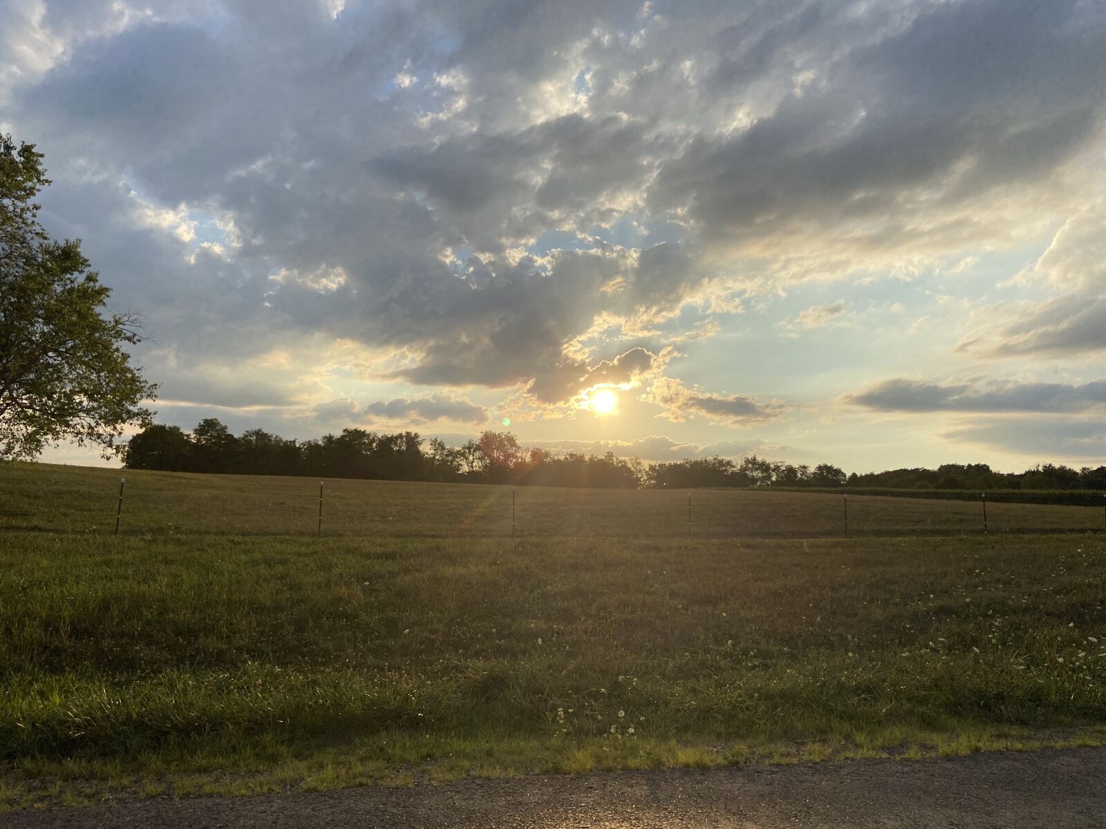 Apple iPhone 11 sample photo. Open road, road trip photography