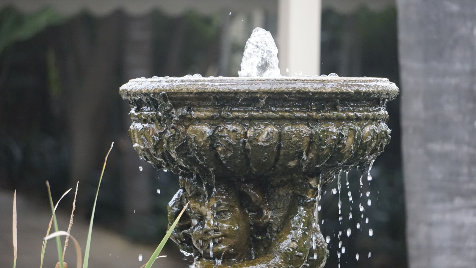 Sony a6000 sample photo. Fountain, outside, outdoors photography