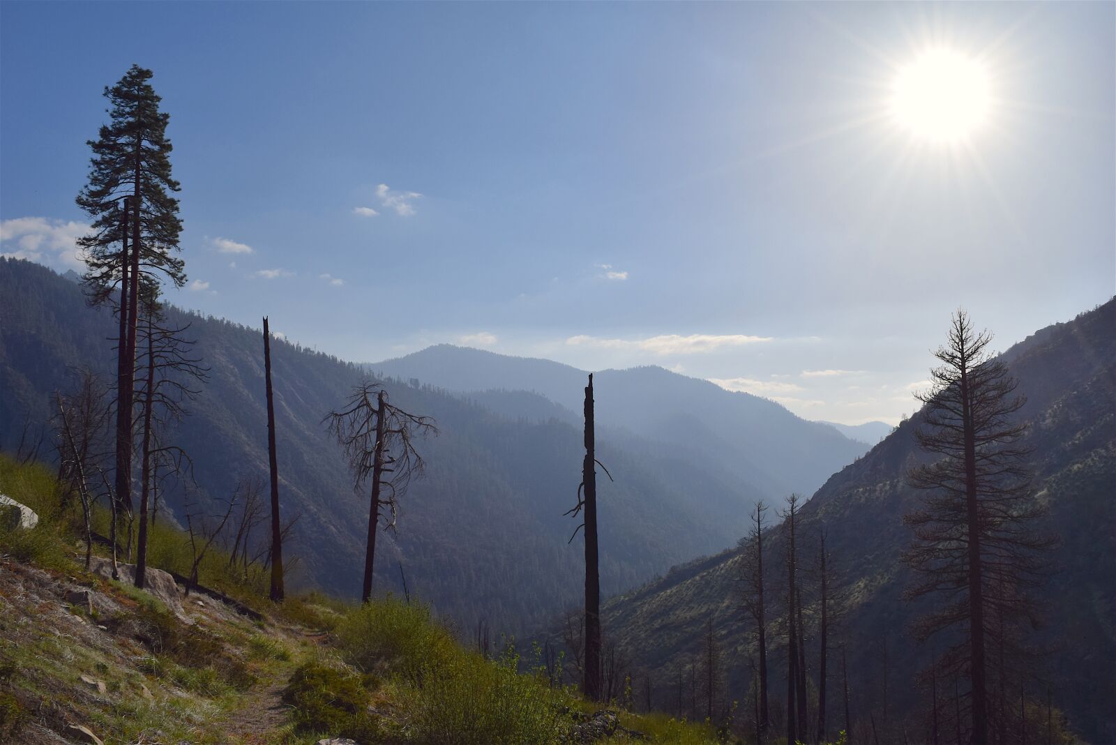 Nikon D3300 sample photo. Mountains, nature, tree photography