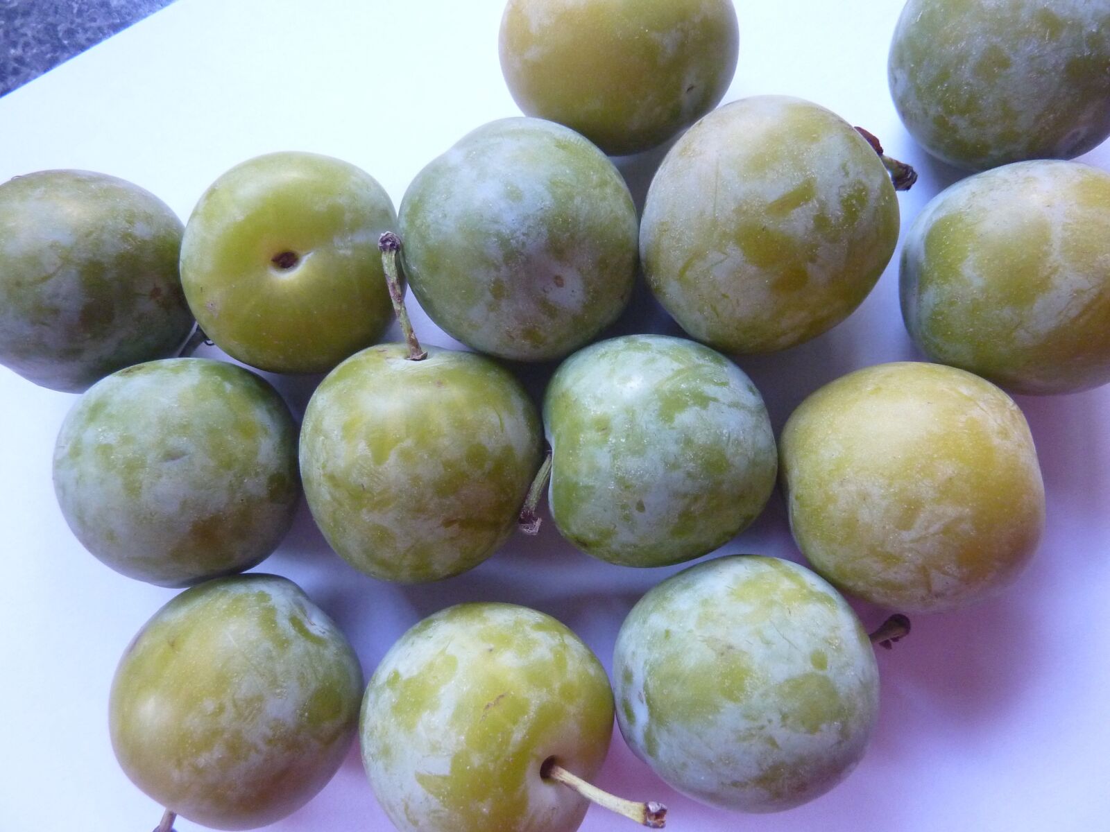 Panasonic DMC-TZ7 sample photo. Greengages, gages, fruit photography