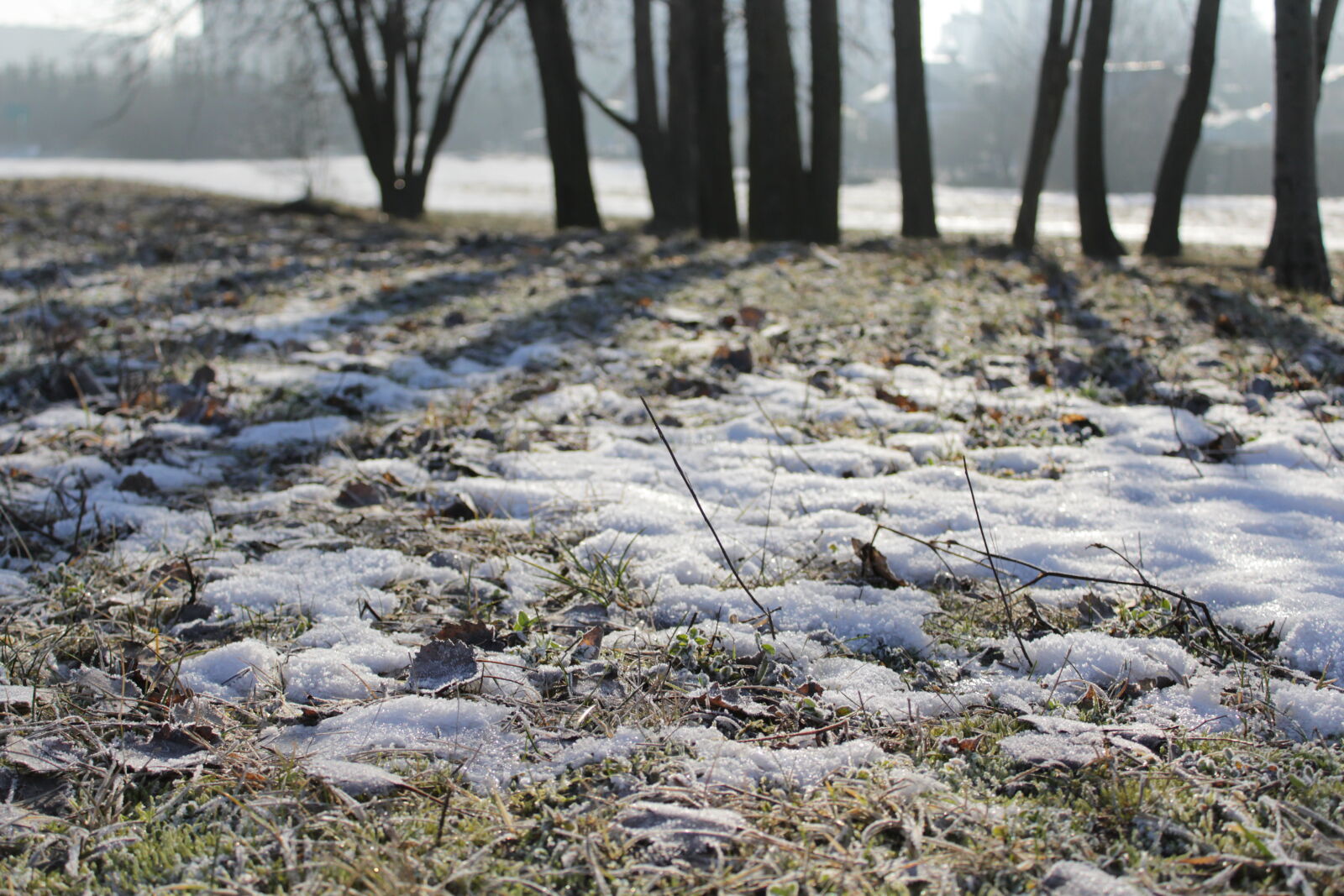 Canon EOS 1200D (EOS Rebel T5 / EOS Kiss X70 / EOS Hi) sample photo. Snow, winter photography
