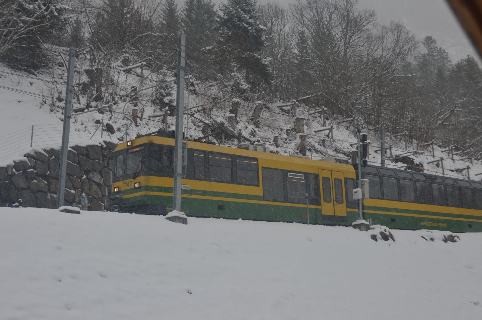 Nikon D3200 sample photo. Wab, wengen, trail photography