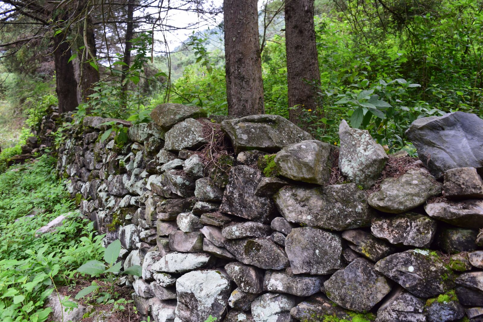 Nikon D3300 sample photo. Stones, barda, green photography