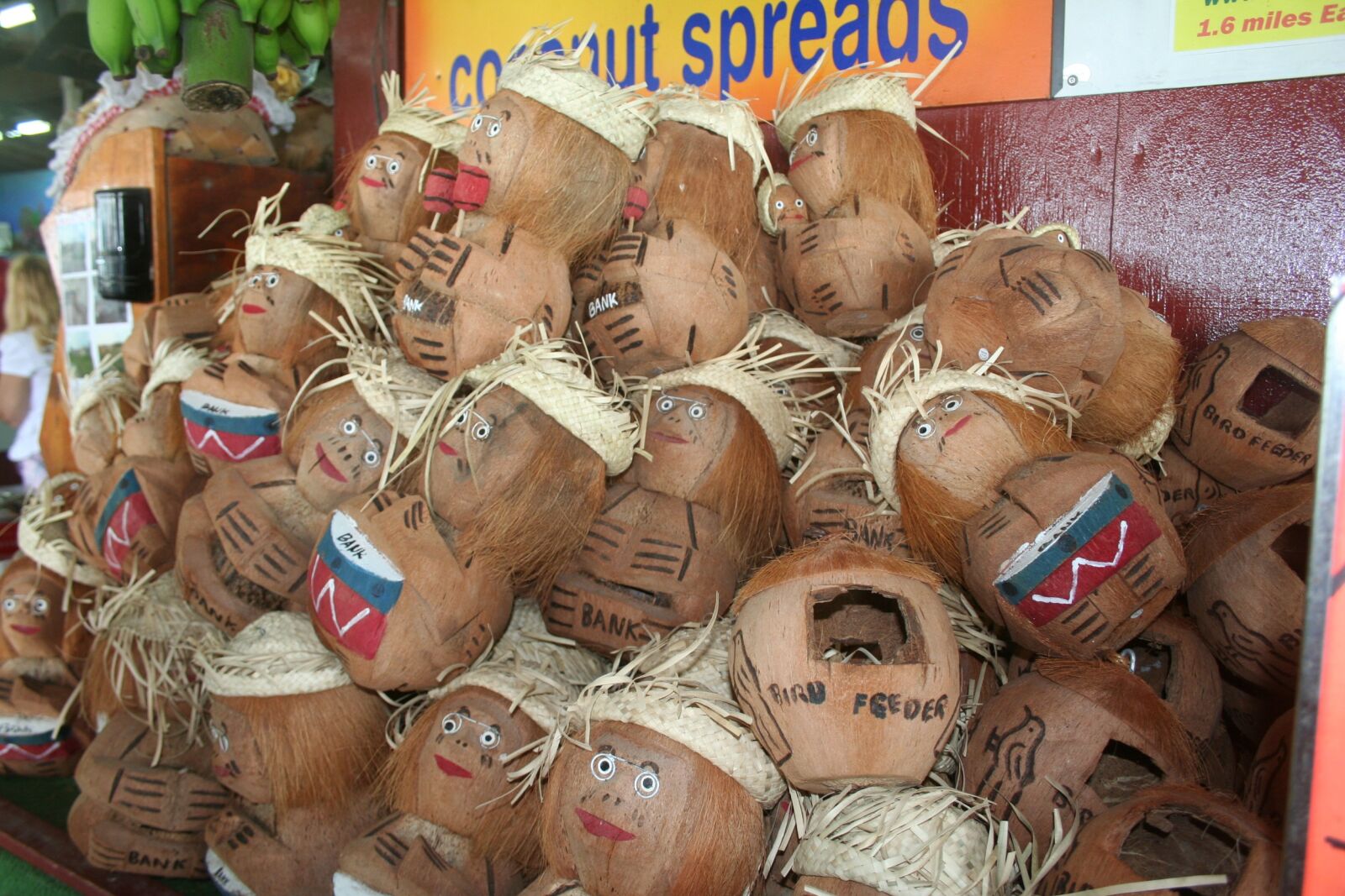 Canon EOS 350D (EOS Digital Rebel XT / EOS Kiss Digital N) sample photo. Coconut heads, hawaii, coconut photography
