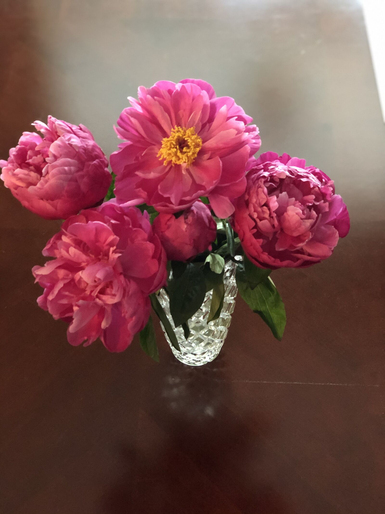 iPhone X back dual camera 6mm f/2.4 sample photo. Peonies, flowers, bloom photography