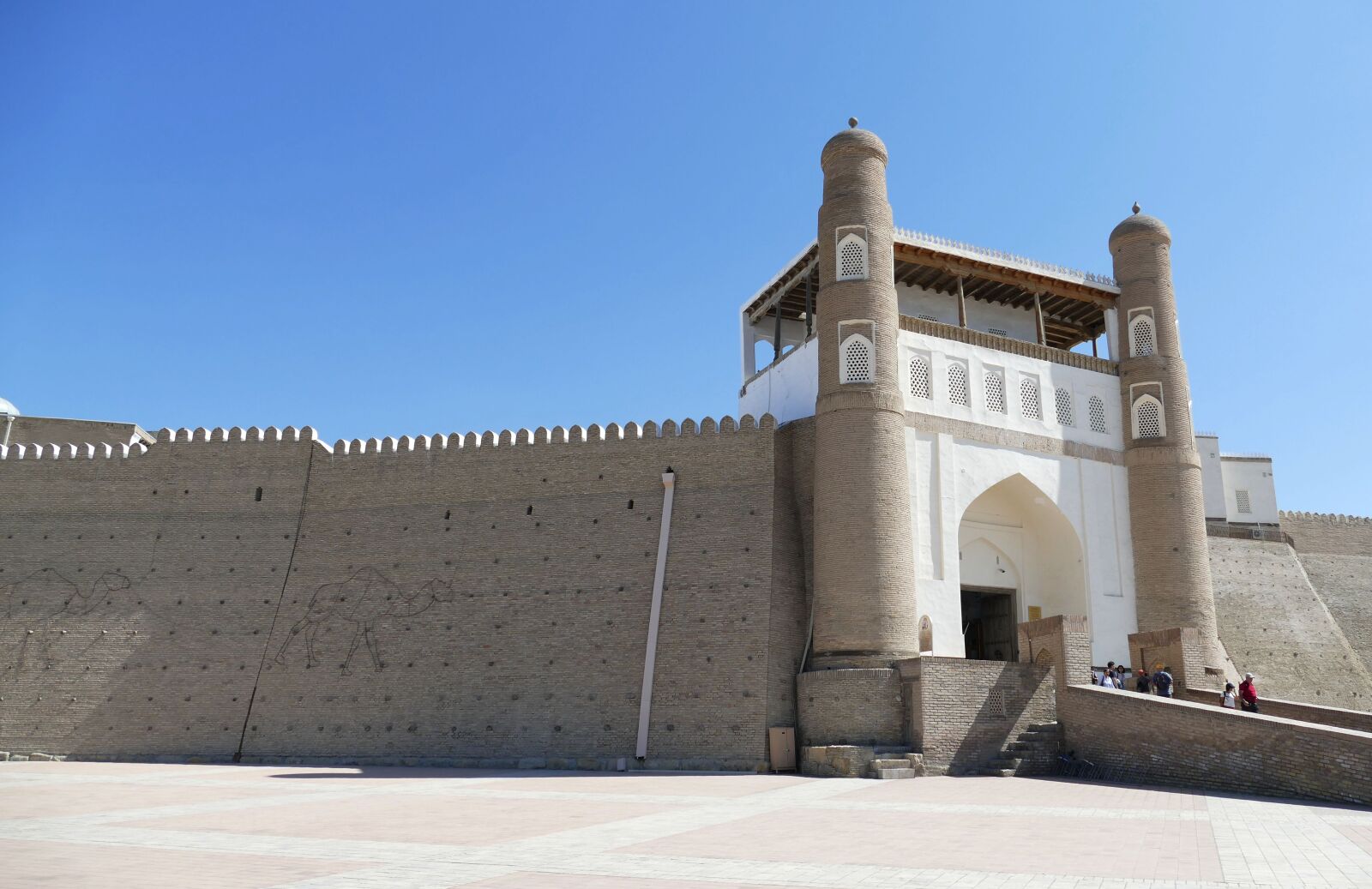 Panasonic Lumix DMC-FZ1000 sample photo. Bukhara, fortress, ark photography