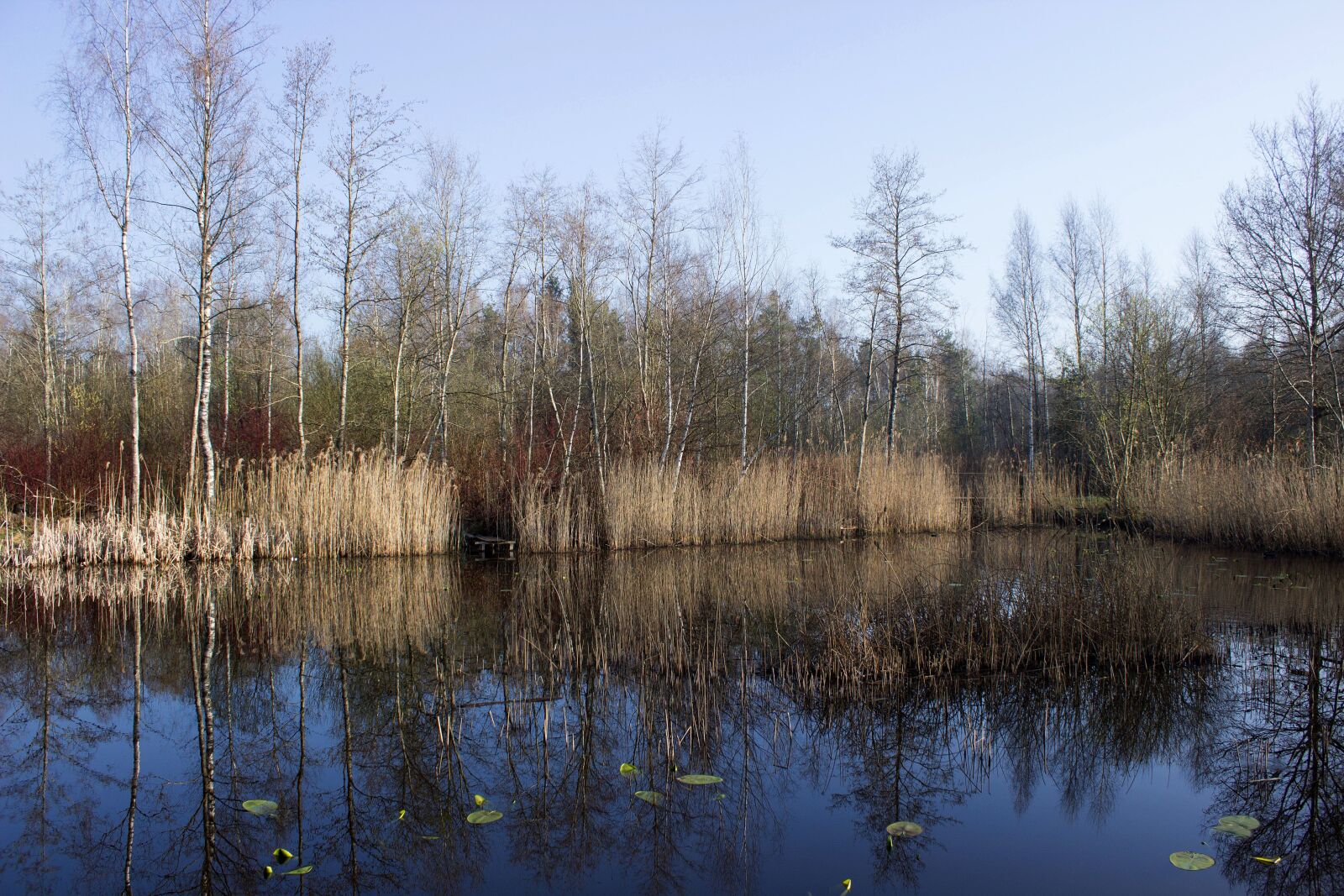 Canon EOS 600D (Rebel EOS T3i / EOS Kiss X5) sample photo. Riedsee, waters, mirroring photography