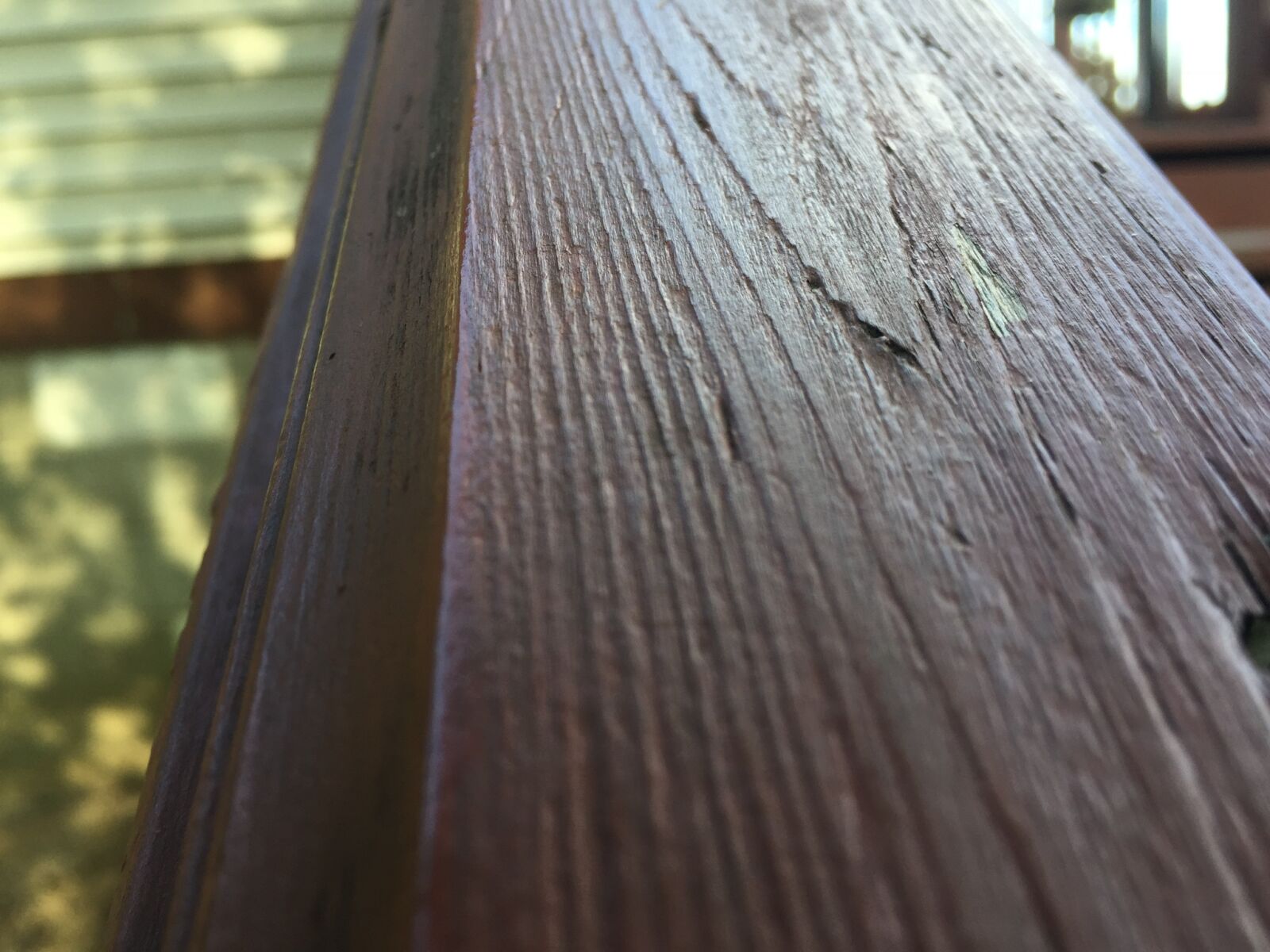 iPhone 6 back camera 4.15mm f/2.2 sample photo
