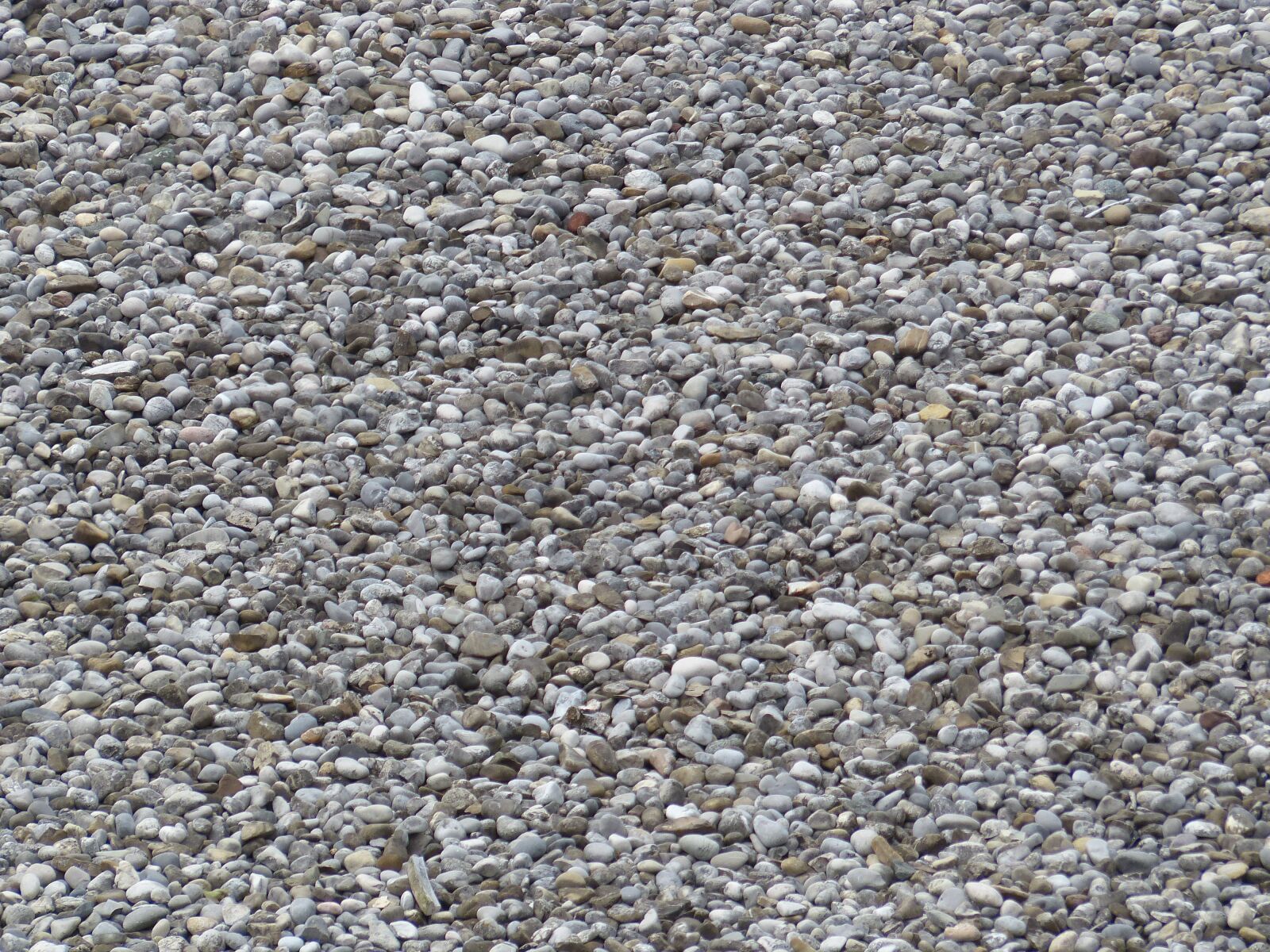 Panasonic Lumix DMC-FZ200 sample photo. Pebble, stones, grey photography