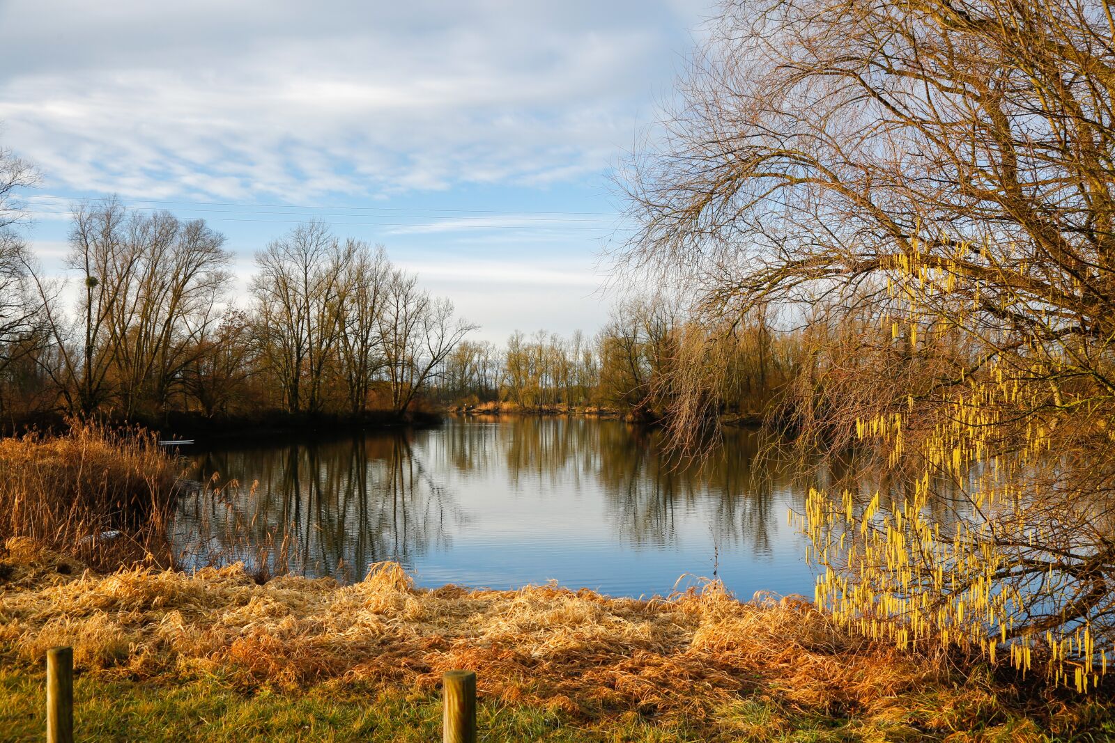 Canon EF 24-105mm F4L IS USM sample photo. Morning, sunrise, lake photography