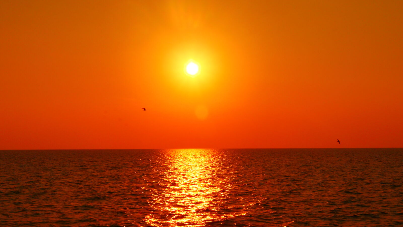 Canon EF-S 24mm F2.8 STM sample photo. Birdy sunset photography