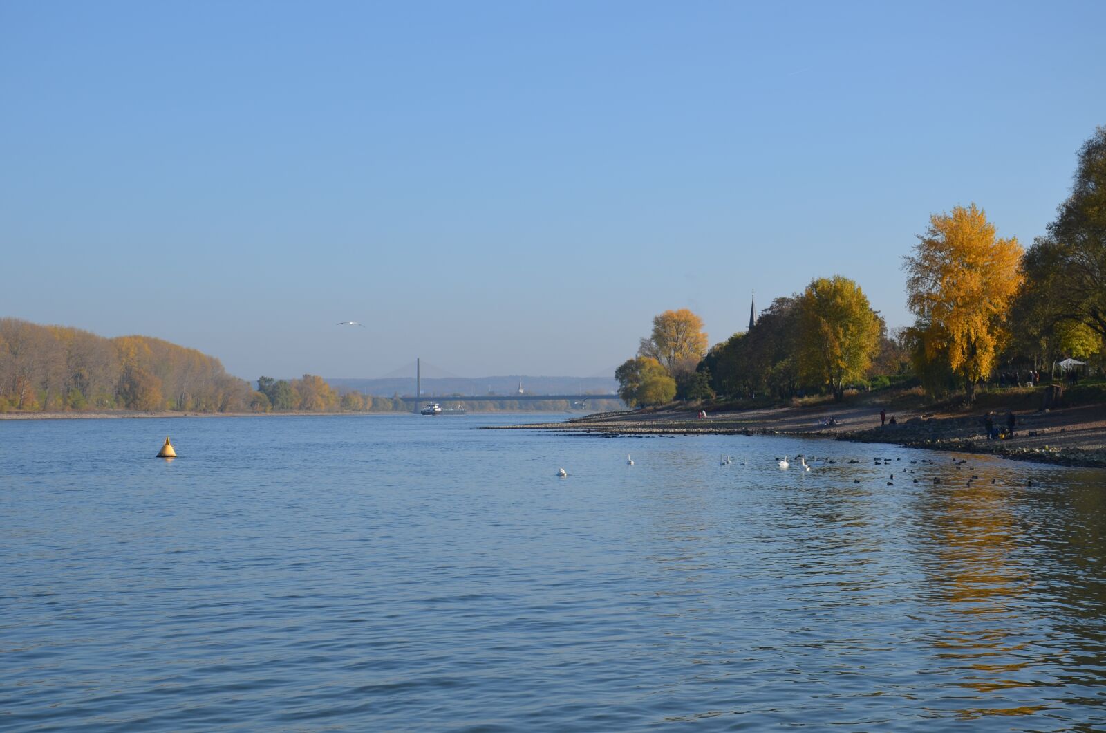 Nikon D5100 sample photo. Wasser, rhein, rhine photography