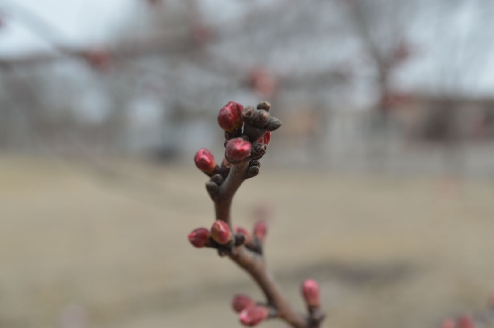 Nikon D3200 sample photo. Views, landscape, spring photography