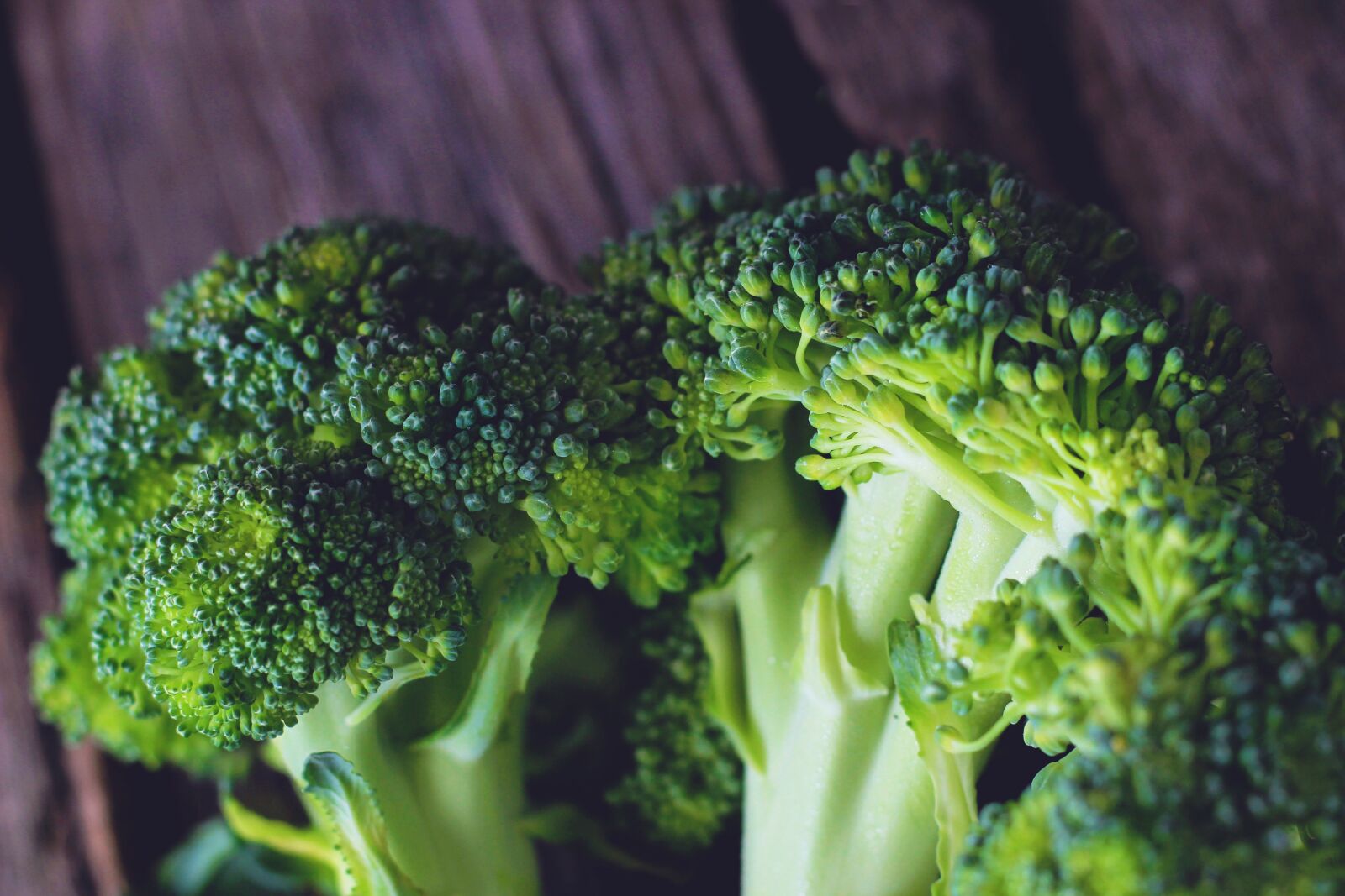 Canon EOS 600D (Rebel EOS T3i / EOS Kiss X5) + Canon EF 50mm F1.8 STM sample photo. Broccoli, vegetables, green photography