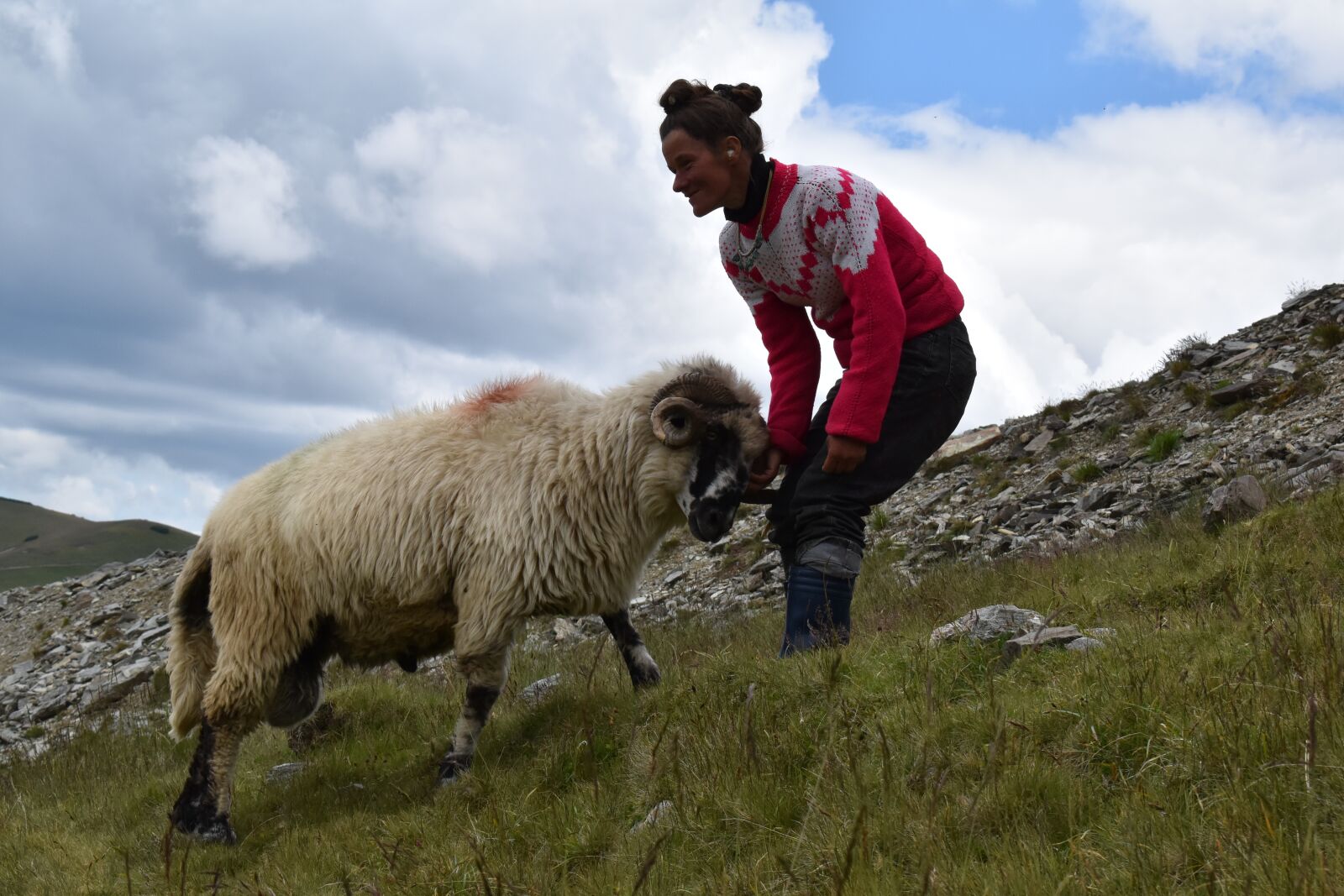 Nikon D5600 sample photo. Shepherd, ram, sheep photography