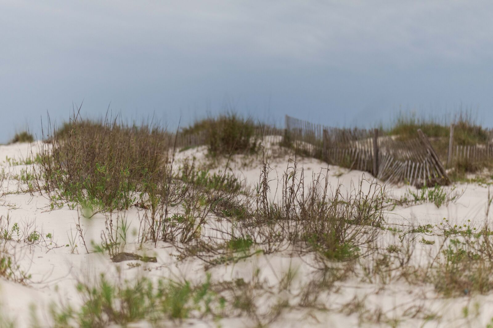 Canon EOS 5D Mark IV sample photo. Beach, sand, dunes photography