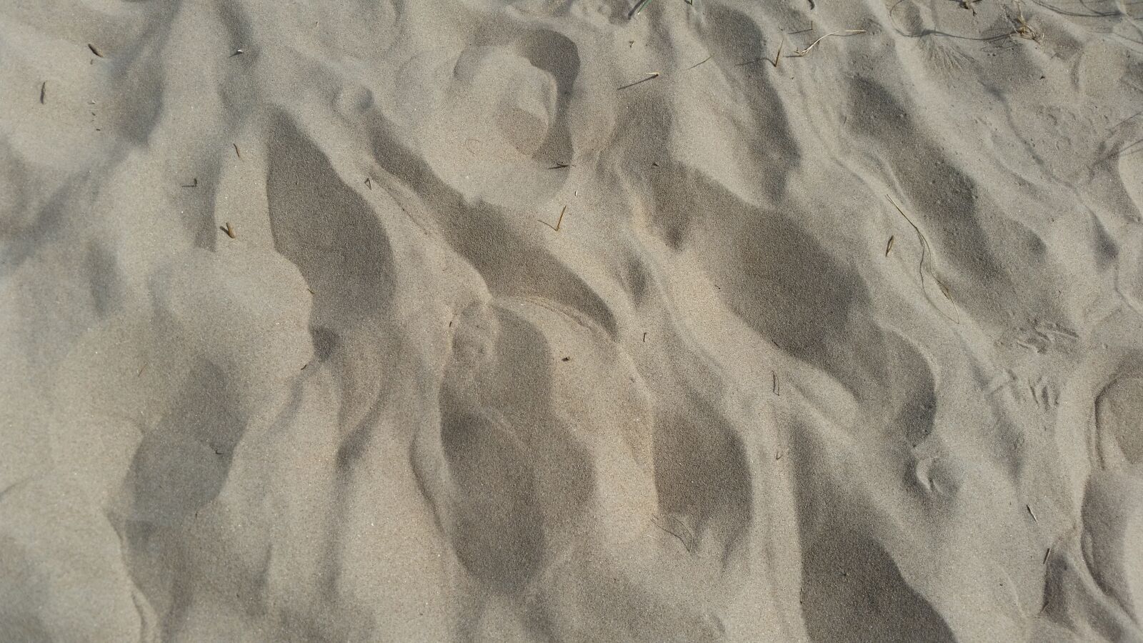 Samsung Galaxy S5 sample photo. Sand, dune, background photography