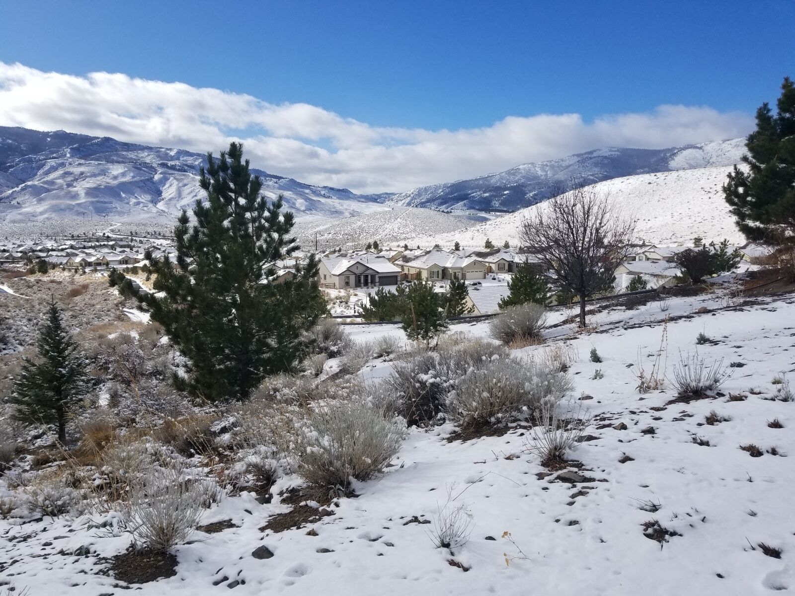 Samsung Galaxy S8+ sample photo. Snow, winter, nature photography