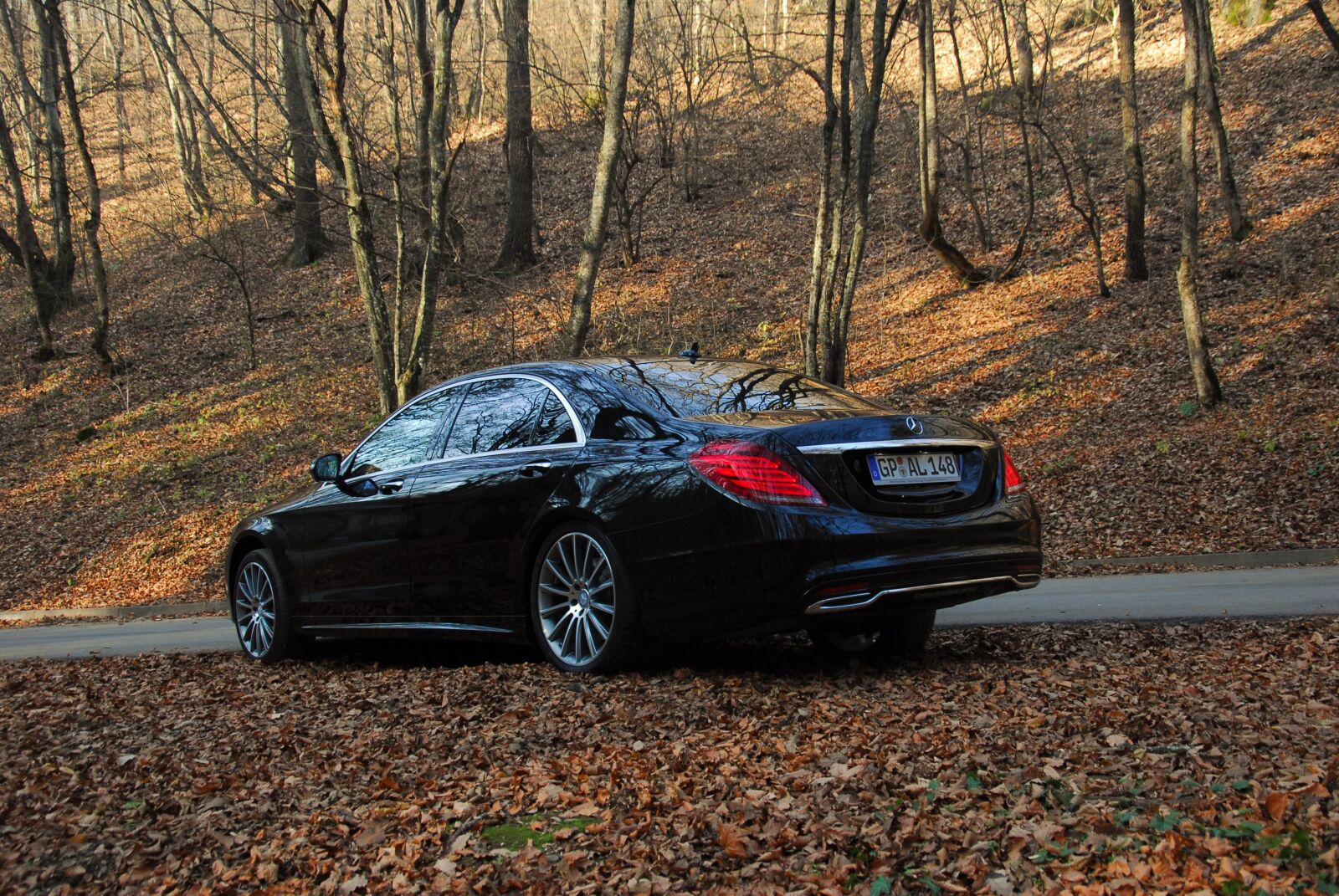 Nikon D200 sample photo. Auto, autumn, benz photography