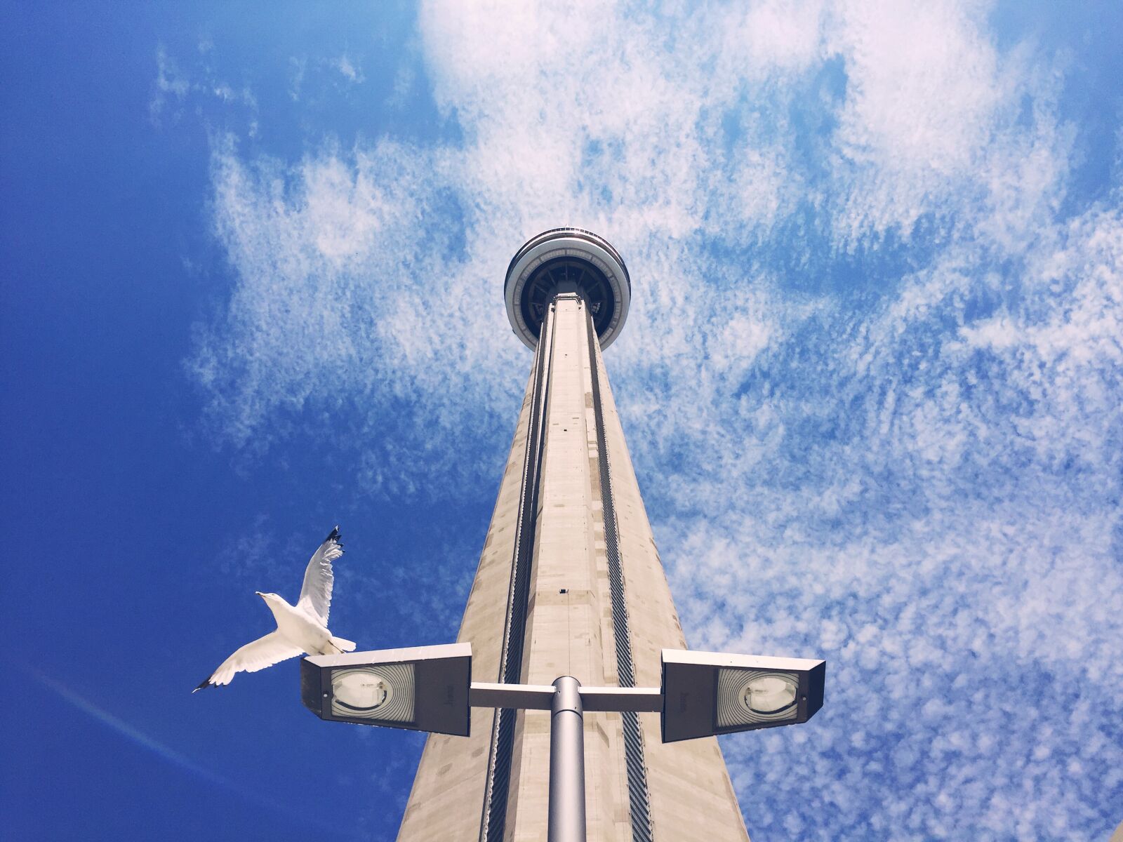 Apple iPhone 6 sample photo. Architecture, bird, building photography