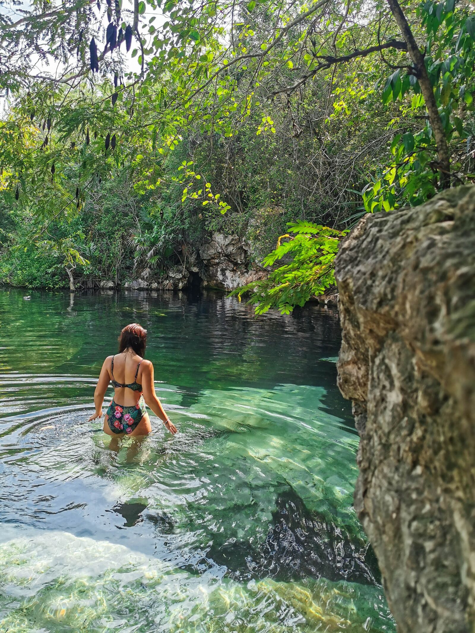 HUAWEI P30 Pro sample photo. Jungle, mexico, tropical photography