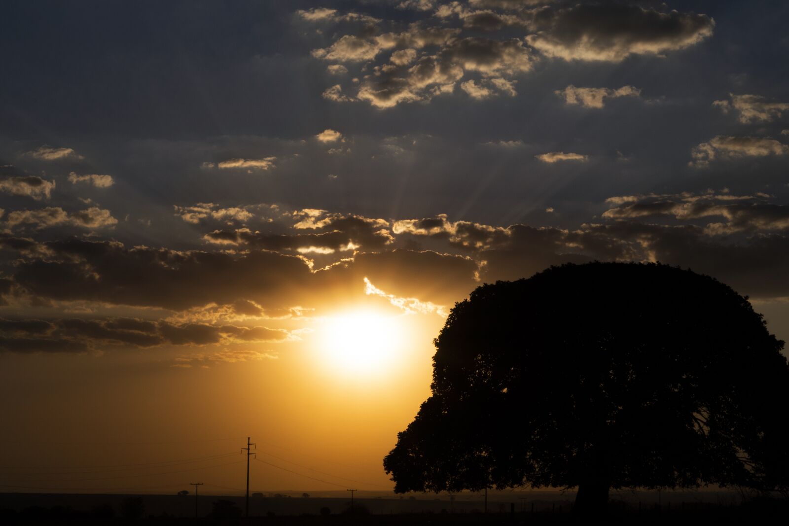 Sony FE 50mm F1.8 sample photo. Sun, nature, sunset photography