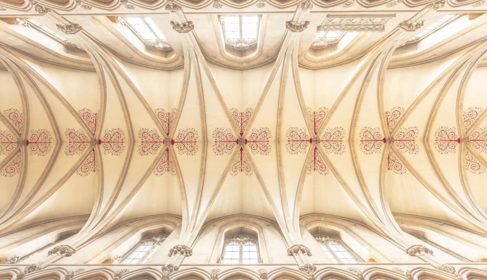 Canon EOS 5DS + Canon EF 16-35mm F4L IS USM sample photo. Ceiling, wells cathedral, architecture photography