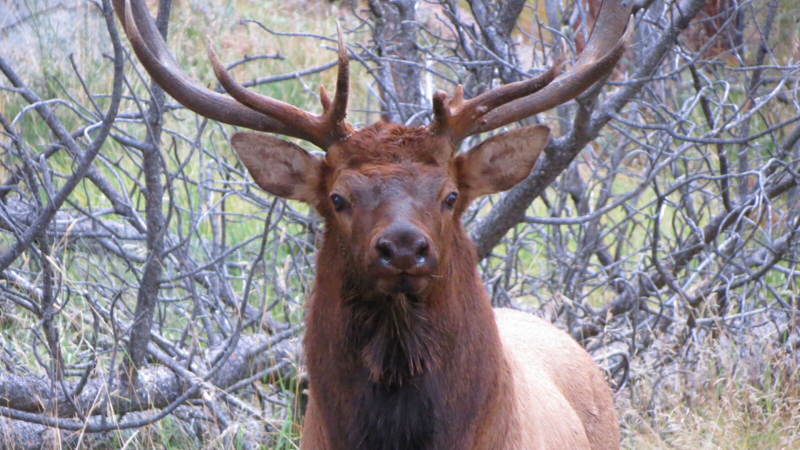 Canon PowerShot SX40 HS sample photo. Nature, rocky mountains, outdoor photography